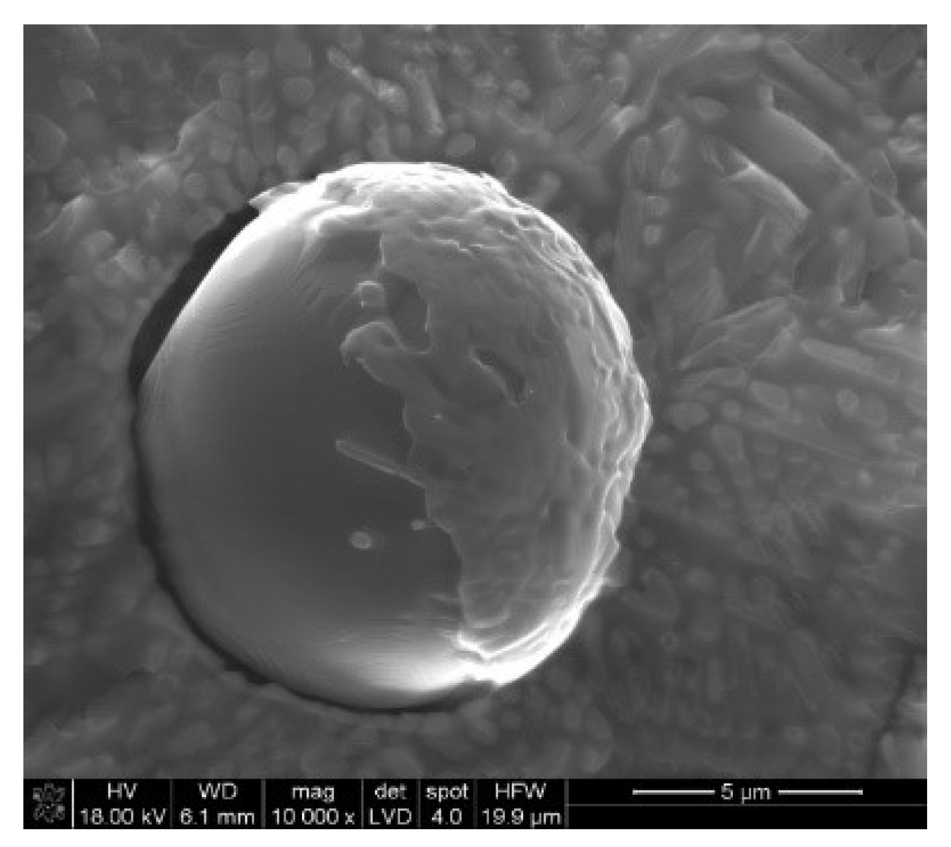 Metals 11 01032 g006