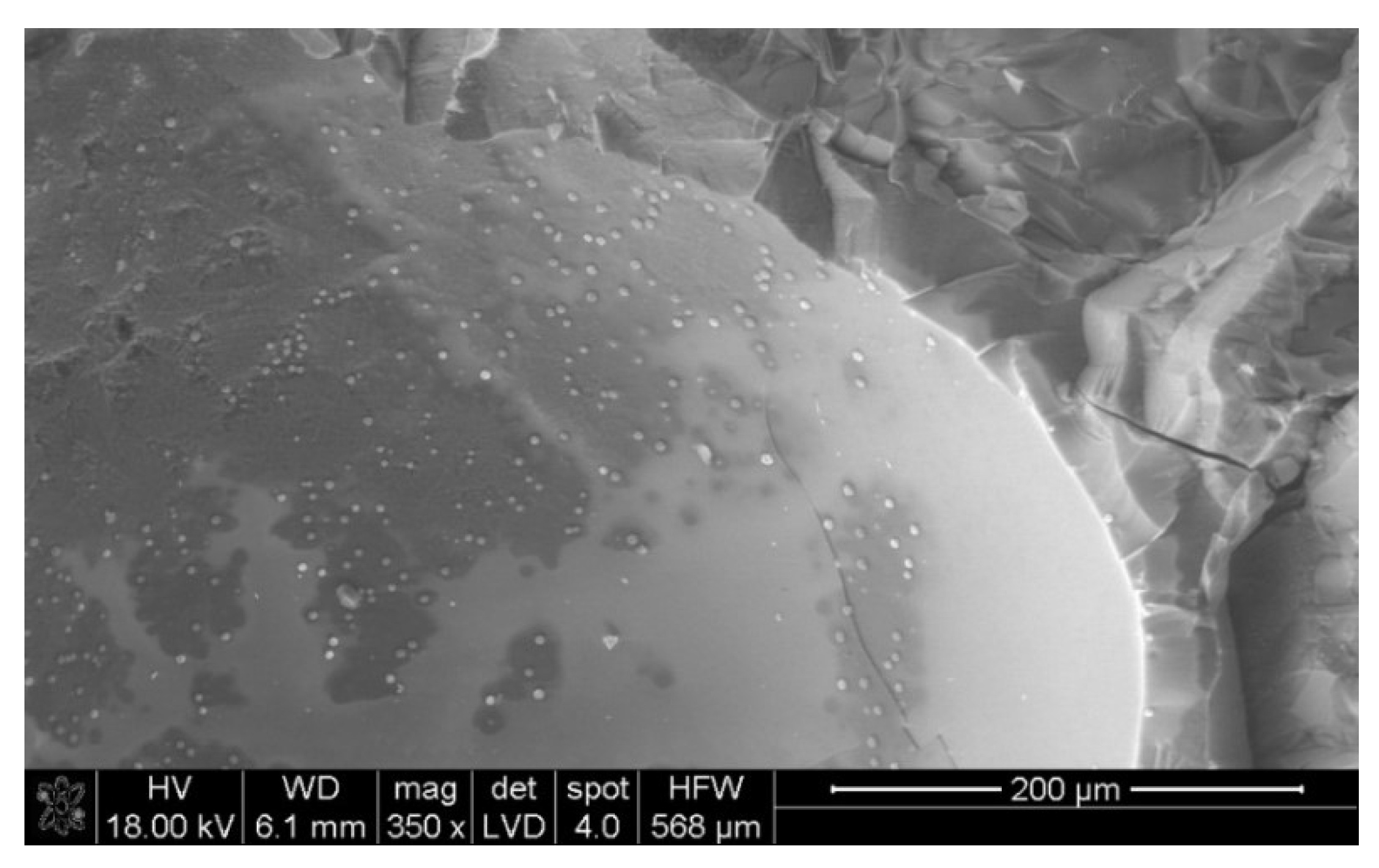 Metals 11 01032 g008