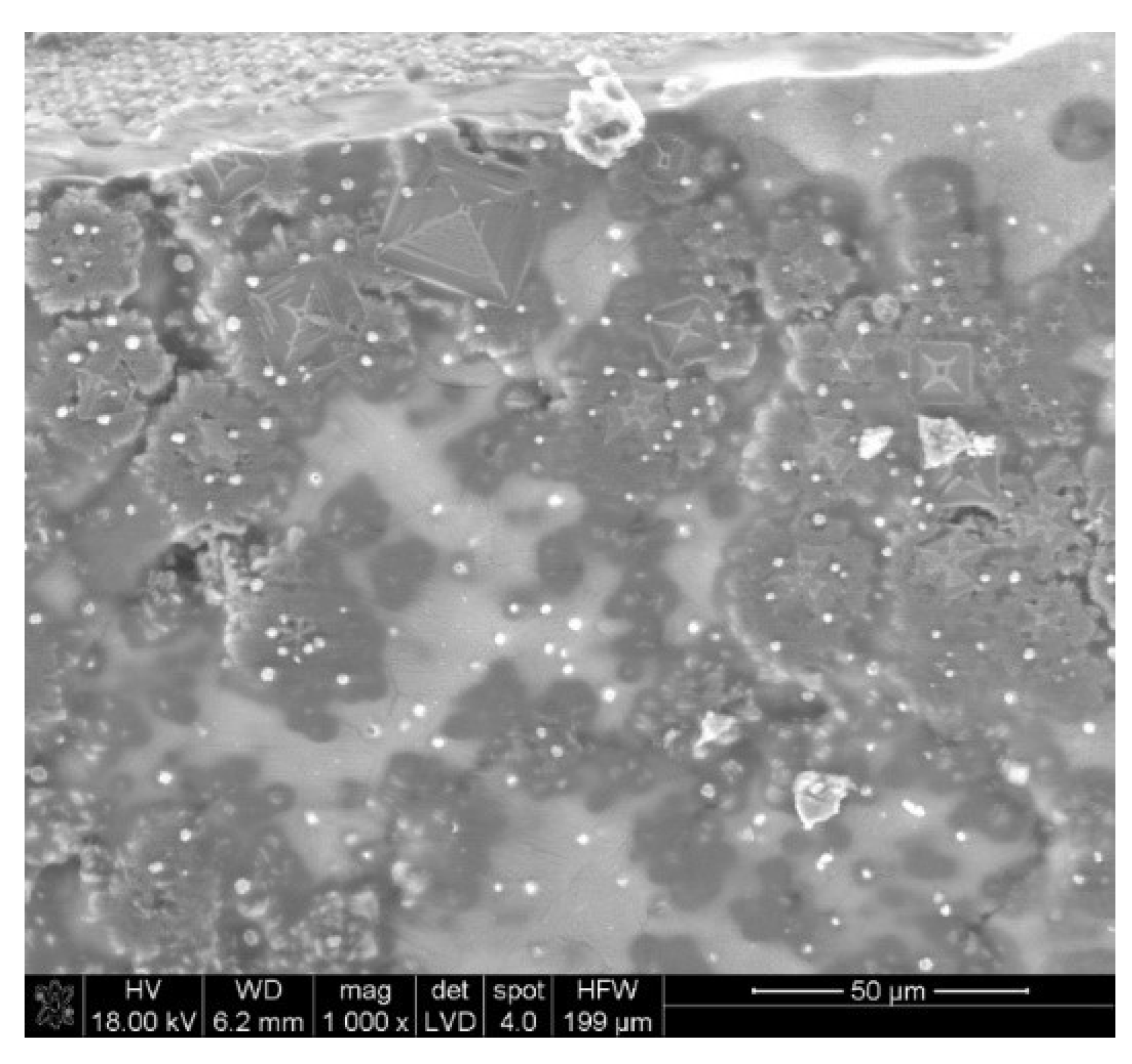 Metals 11 01032 g009