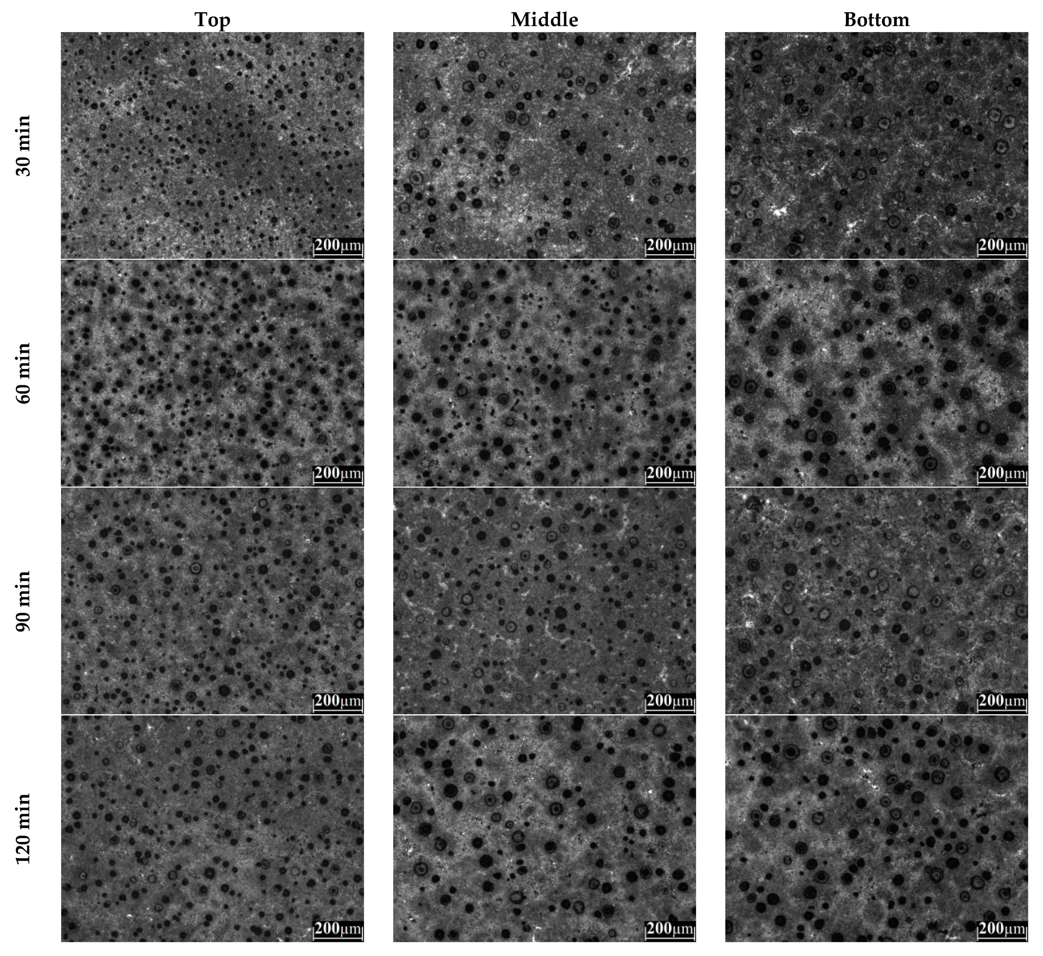 Metals 11 01036 g005