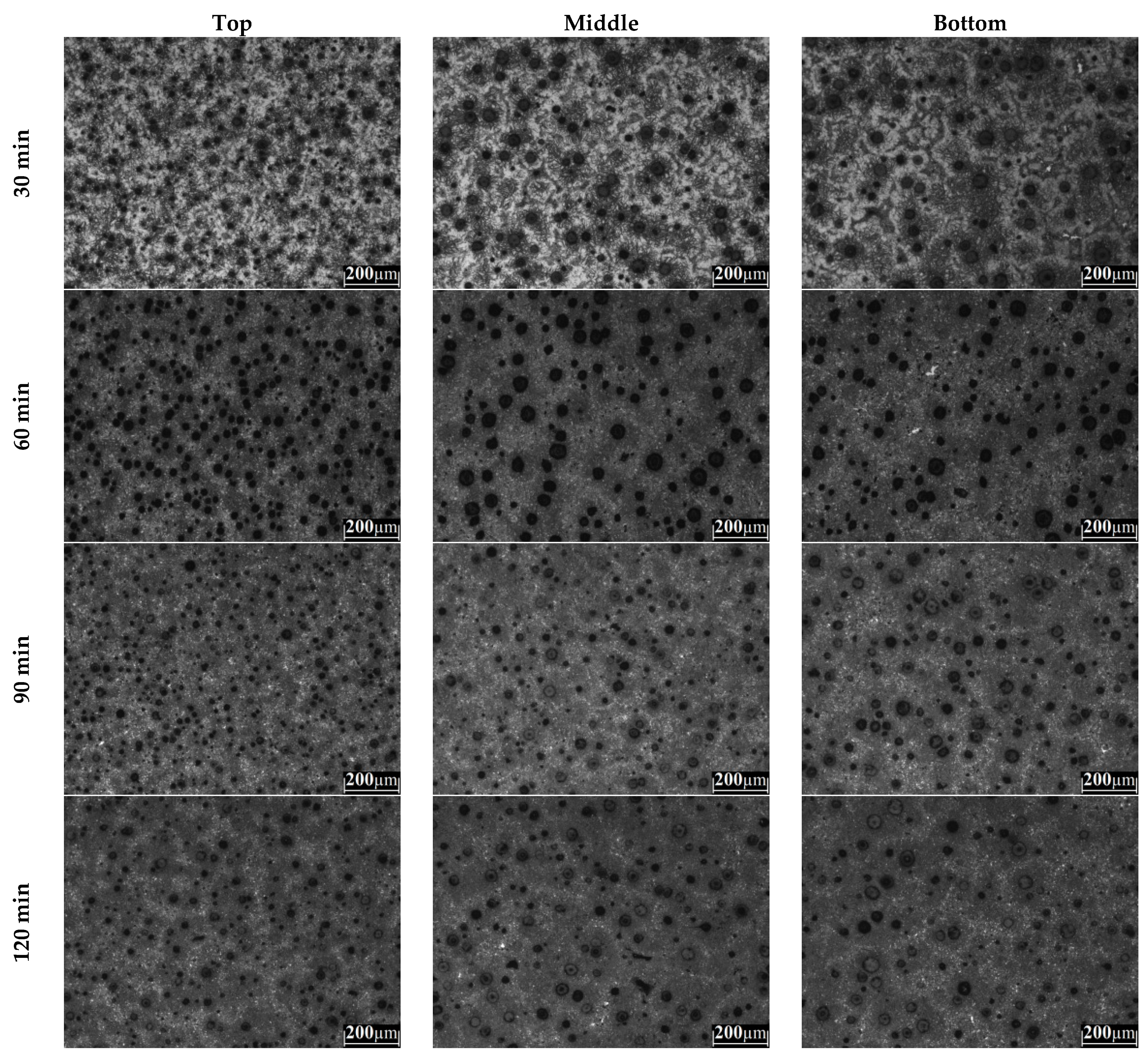 Metals 11 01036 g006