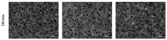 Metals 11 01036 g0a1b 550