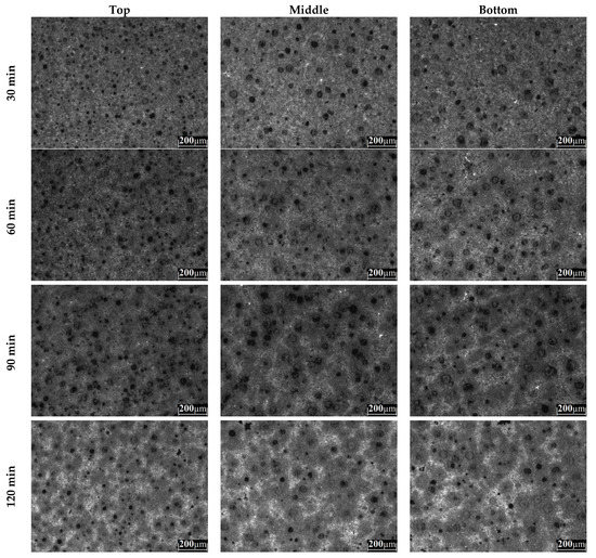 Metals 11 01036 g0a2 550