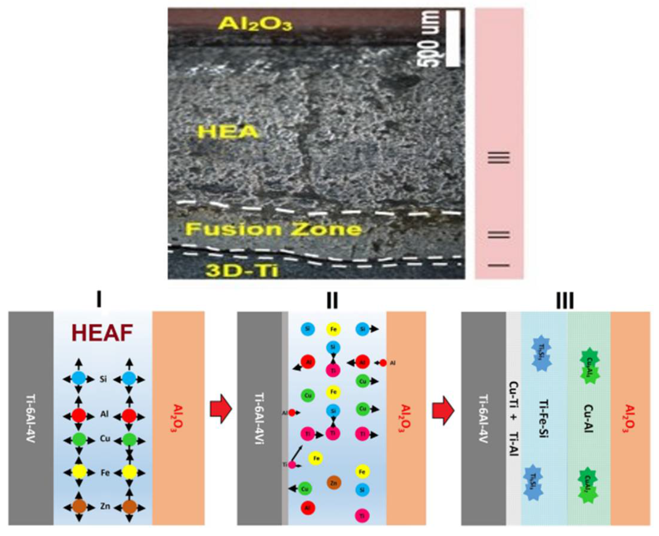 Metals 11 01037 g009