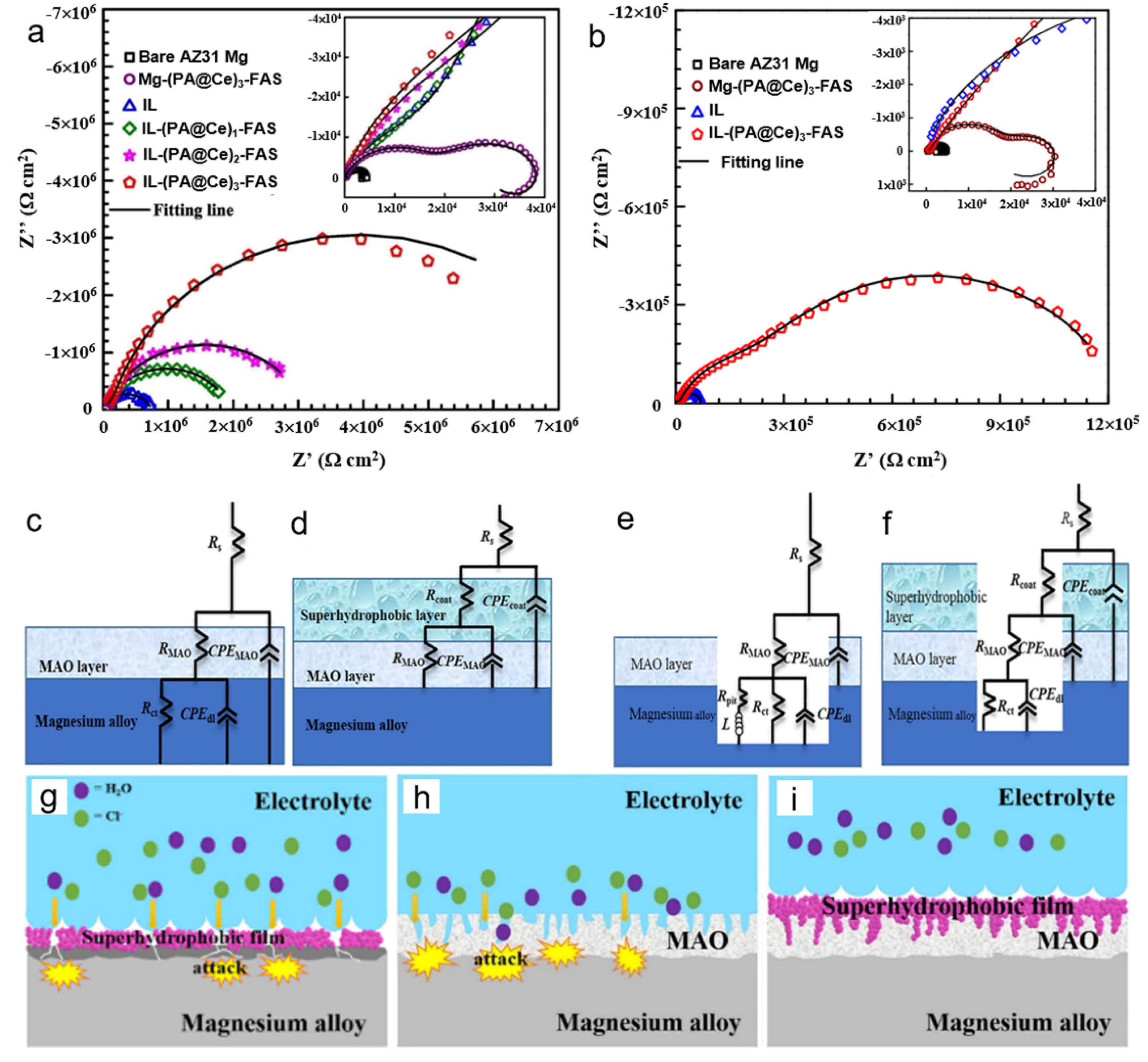 Metals 11 01043 g005