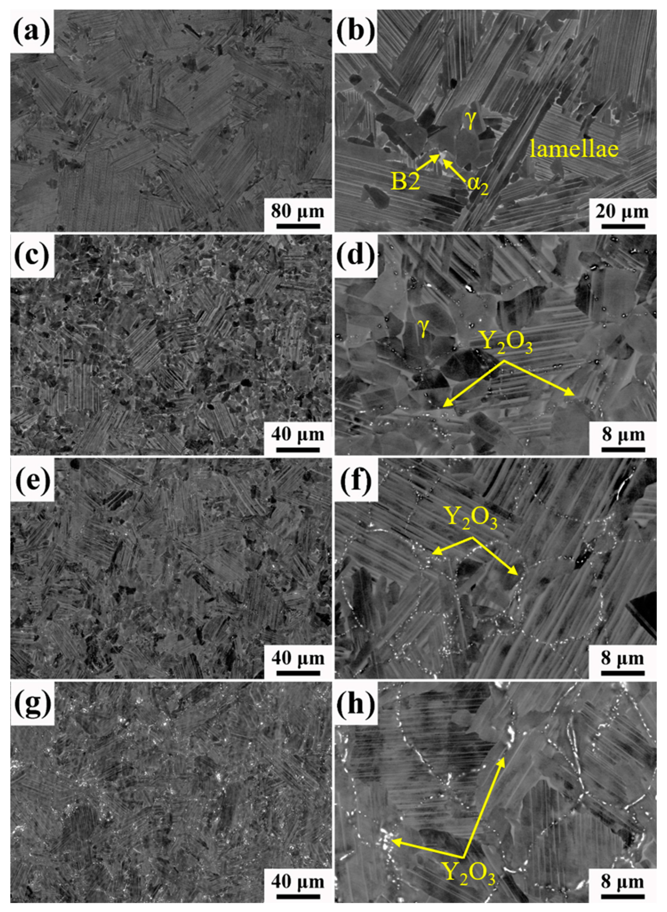 Metals 11 01048 g003