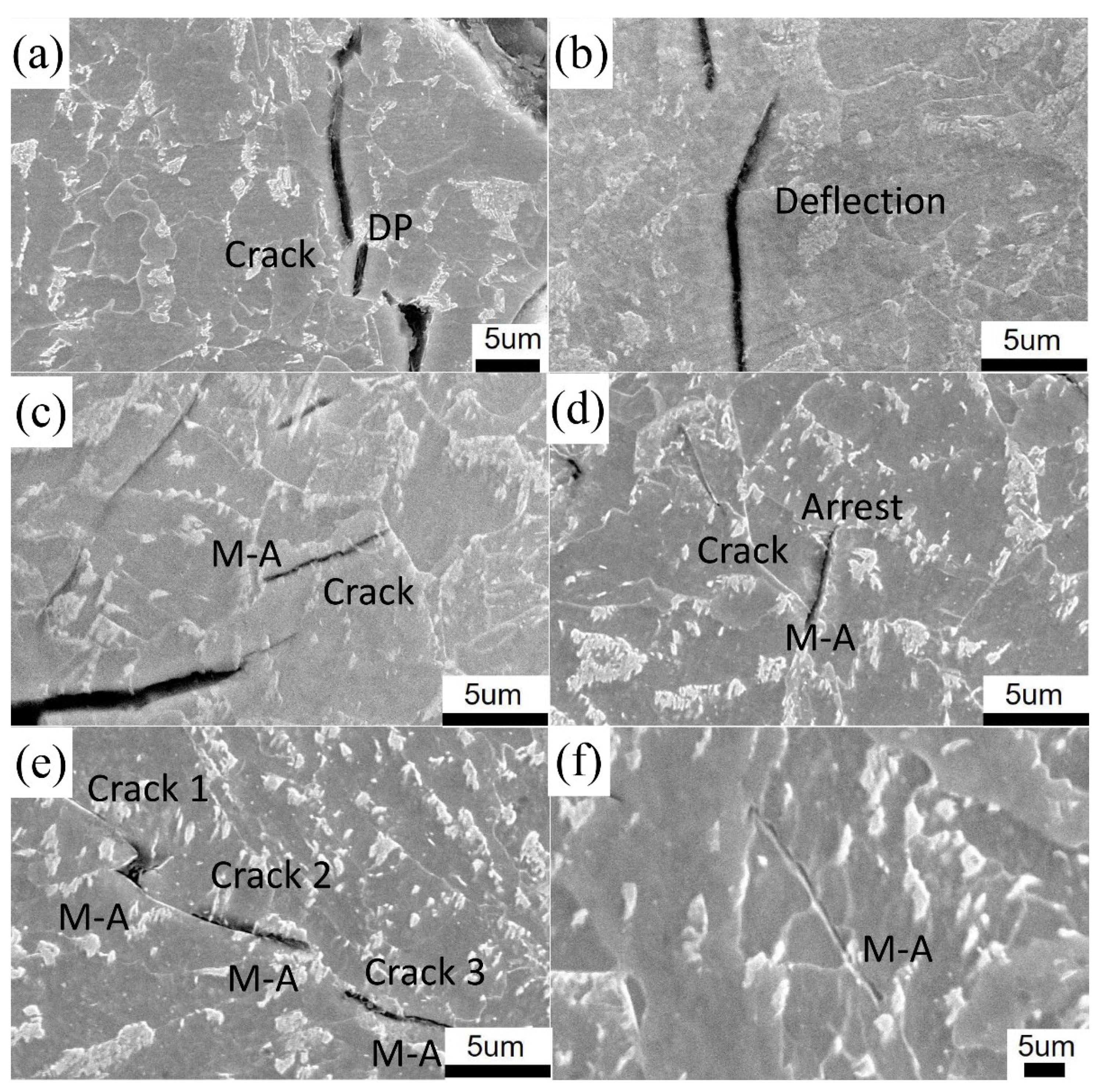 Metals 11 01055 g010