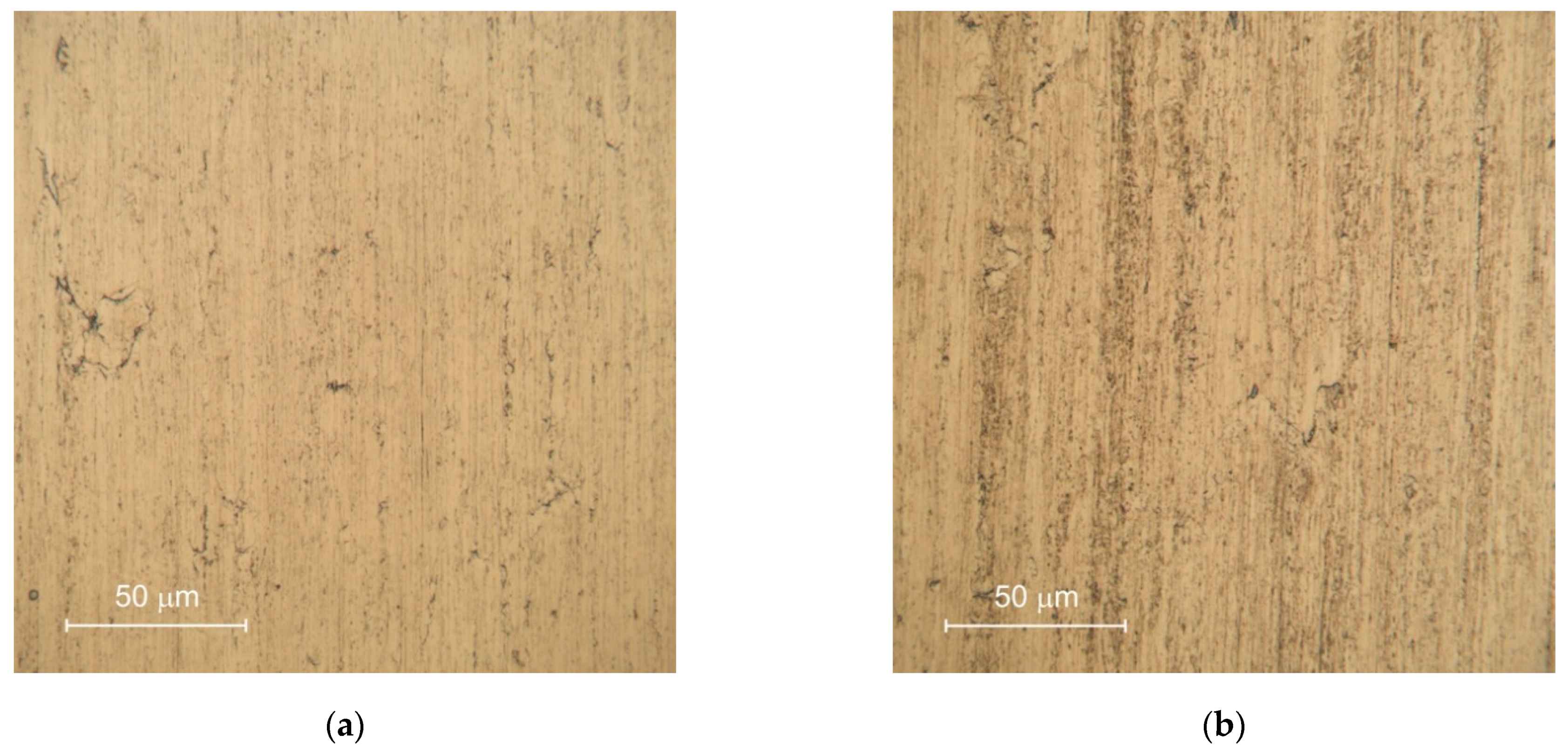 Metals 11 01058 g001