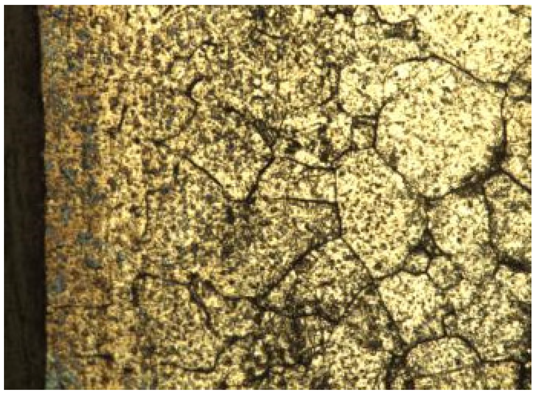 Metals 11 01066 g014