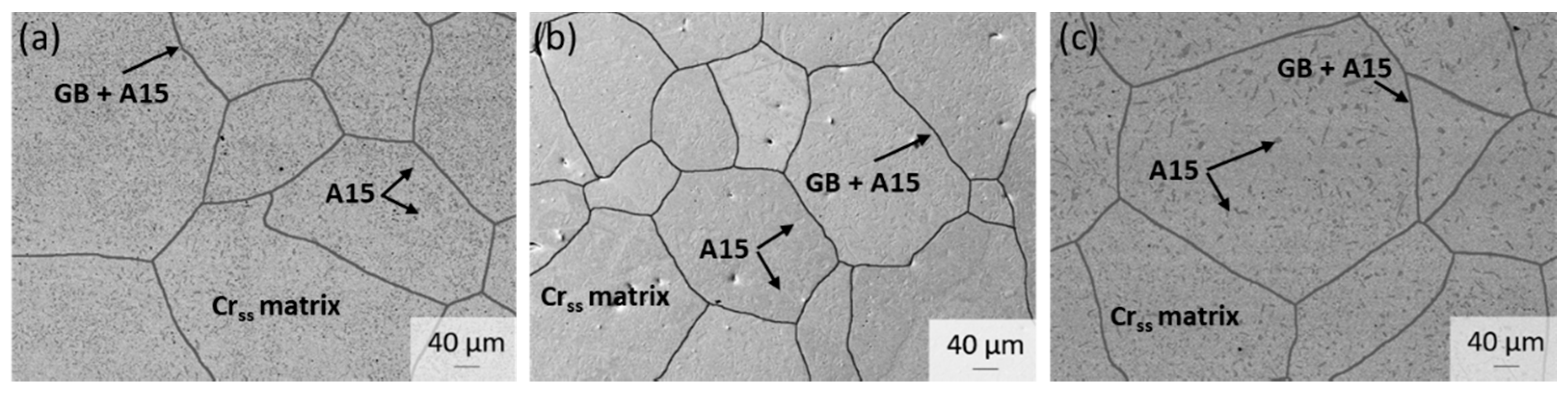 Metals 11 01072 g001