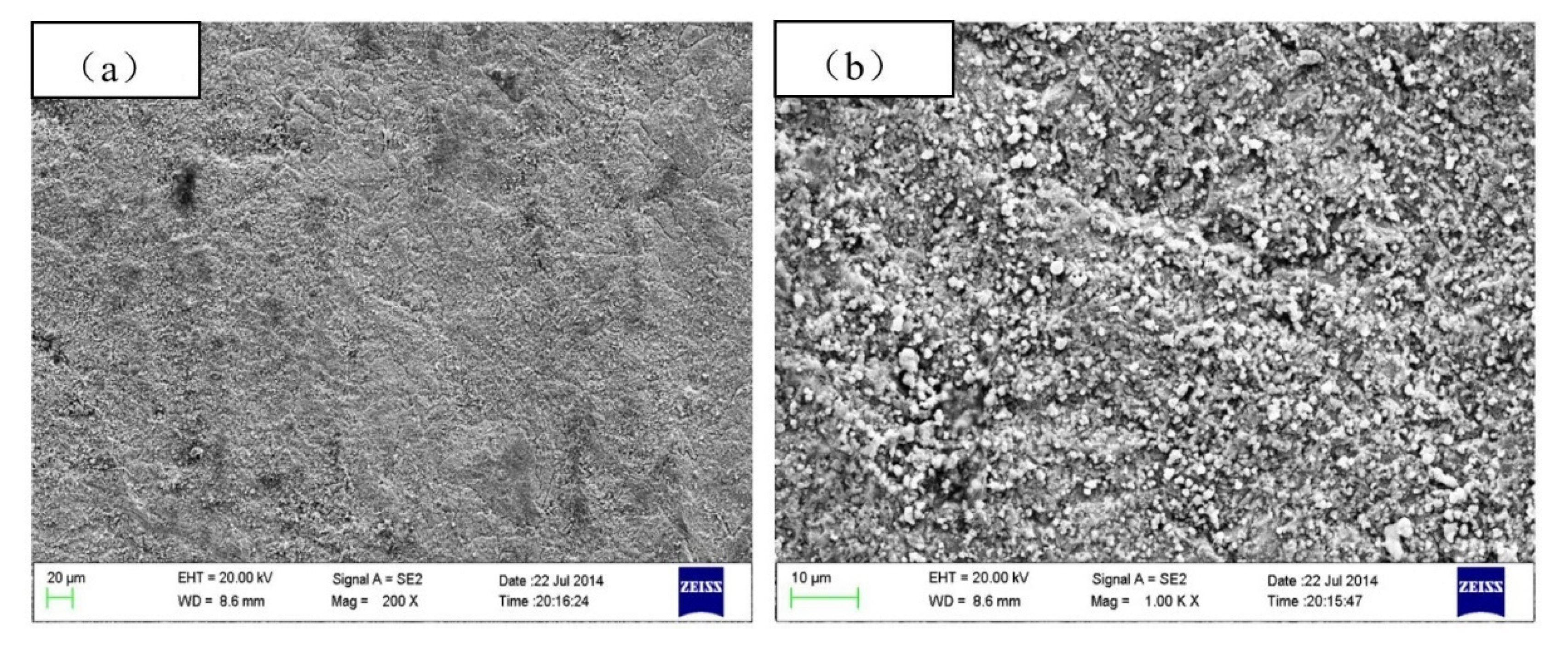 Metals 11 01080 g003