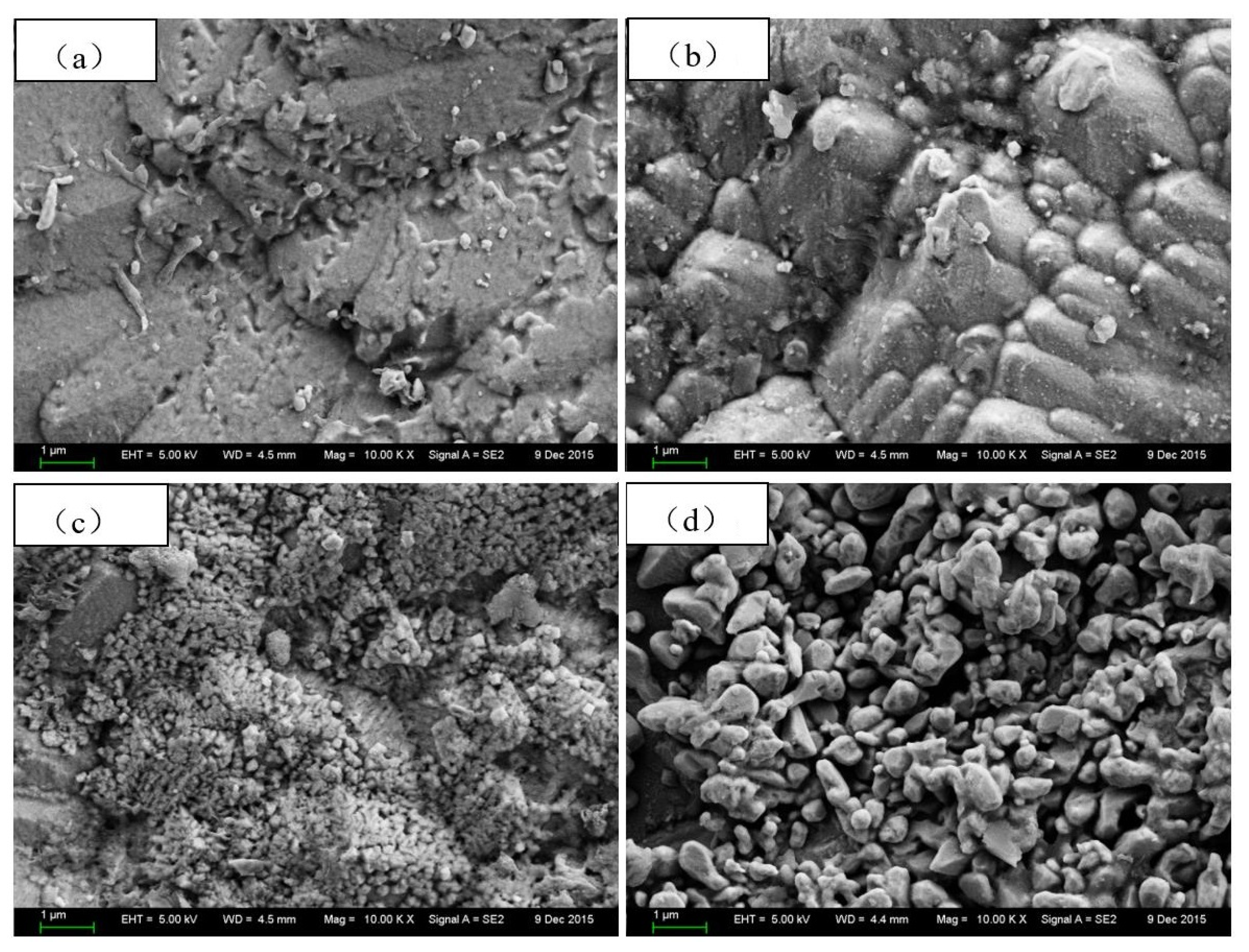 Metals 11 01080 g007