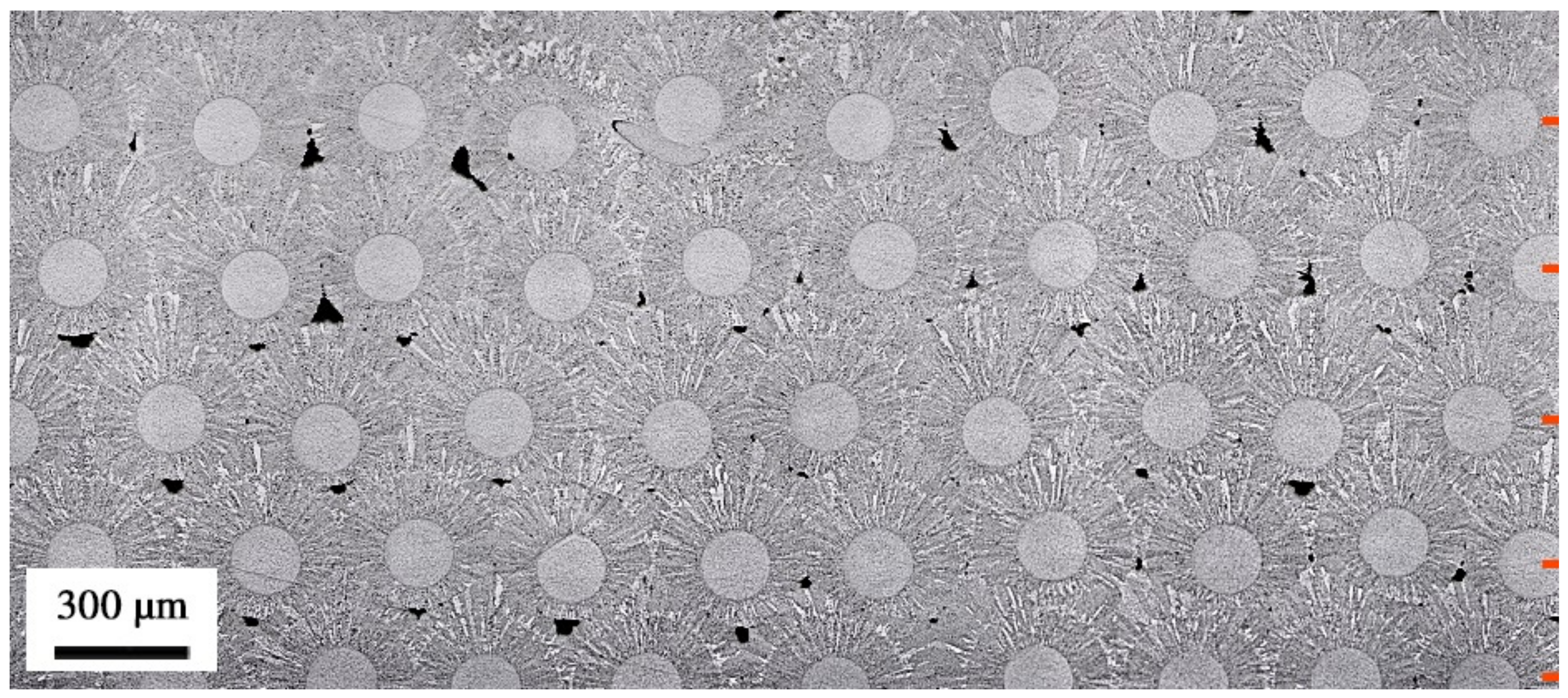 Metals 11 01089 g011