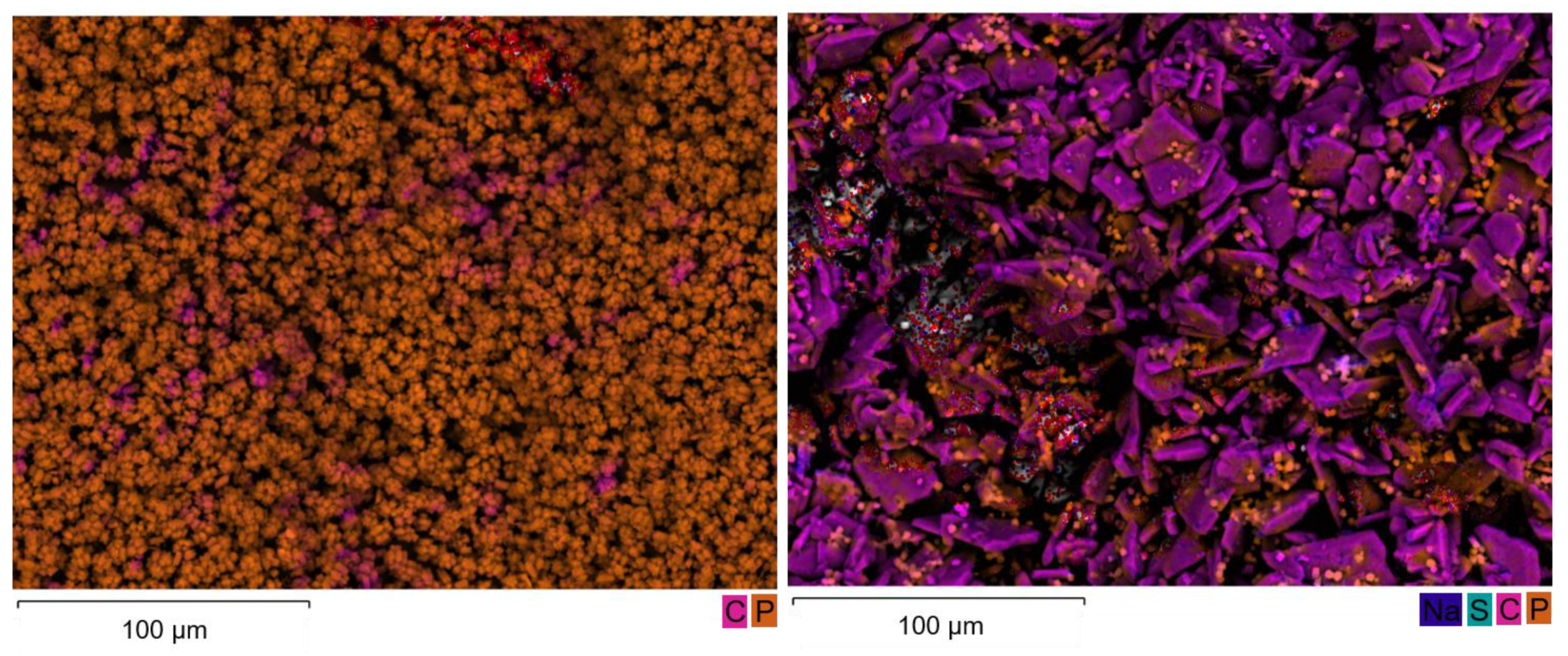 Metals 11 01091 g010