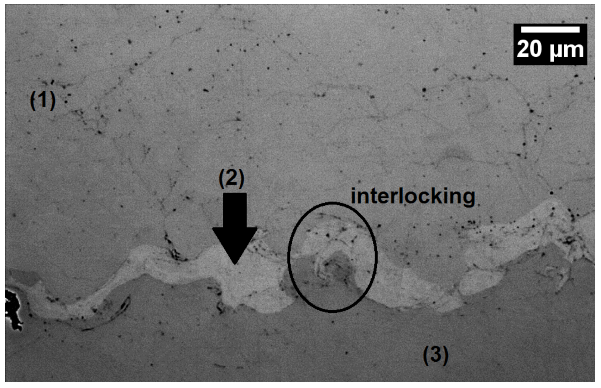 Metals 11 01092 g005