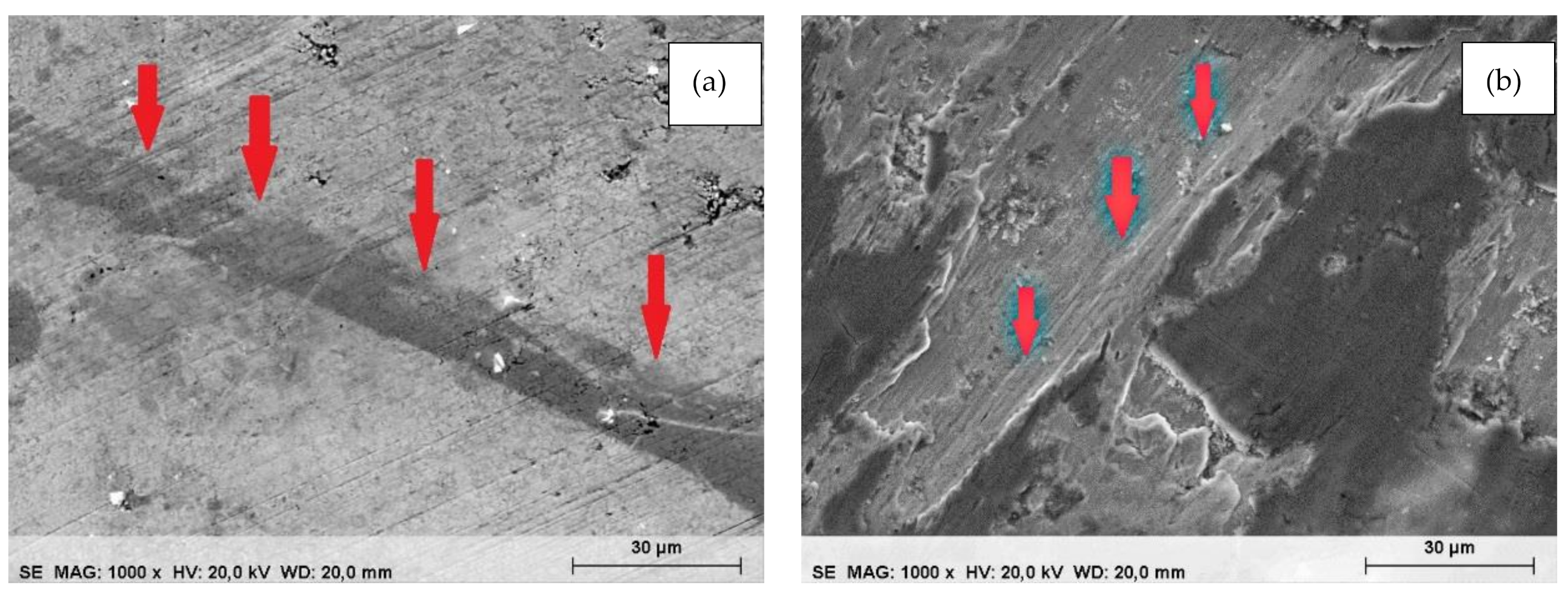 Metals 11 01092 g007