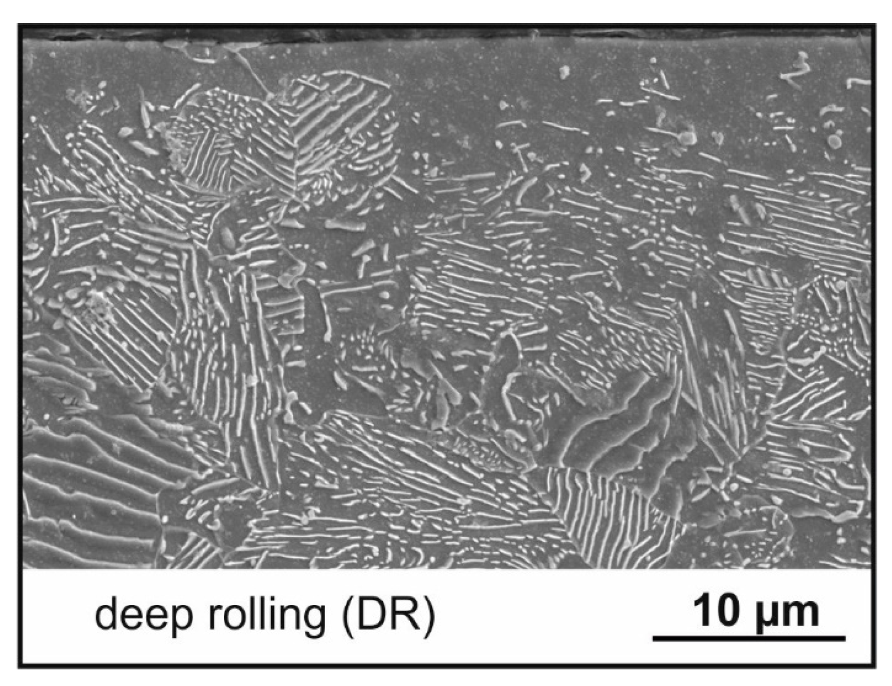 Metals 11 01102 g012