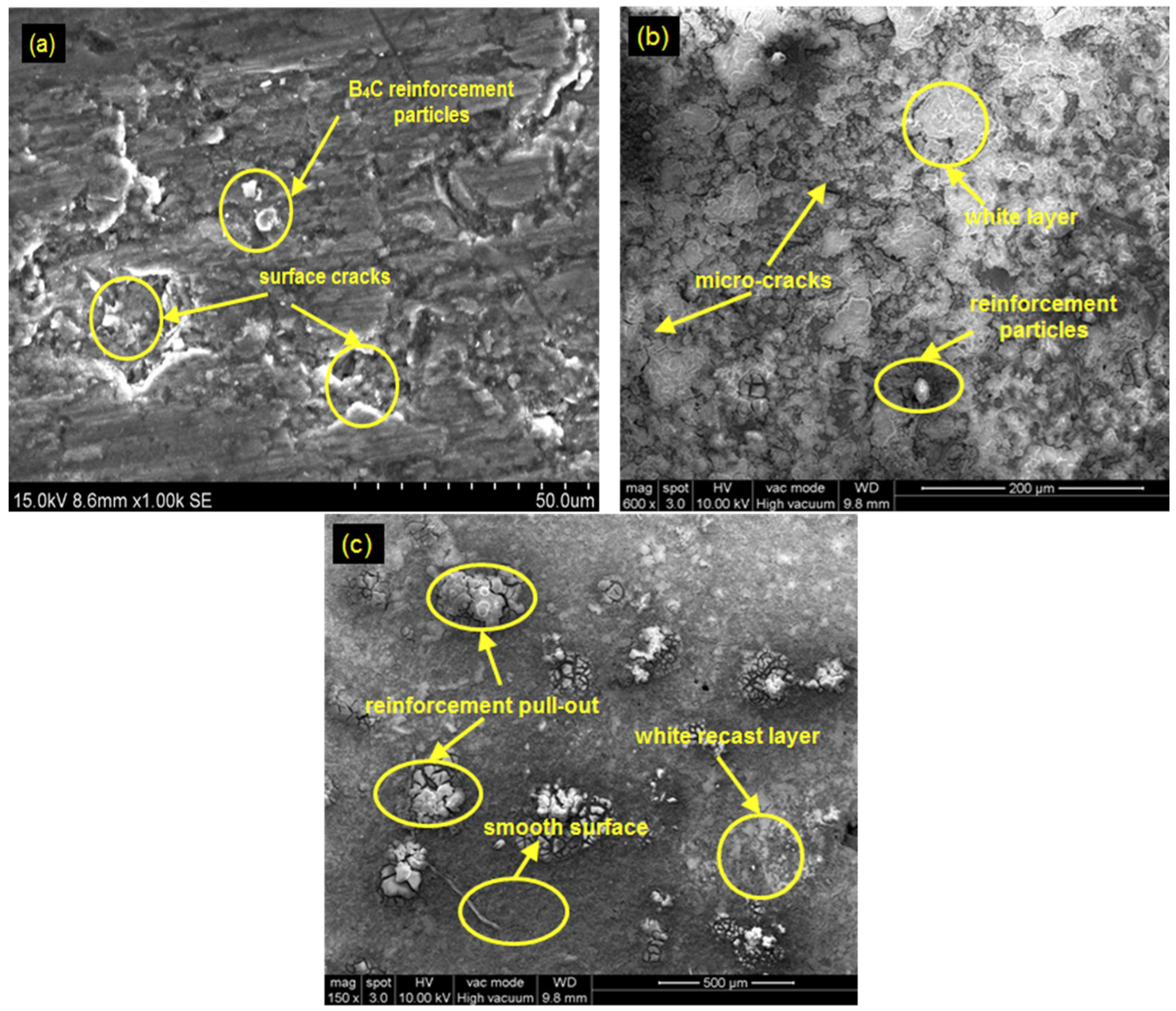 Metals 11 01105 g010