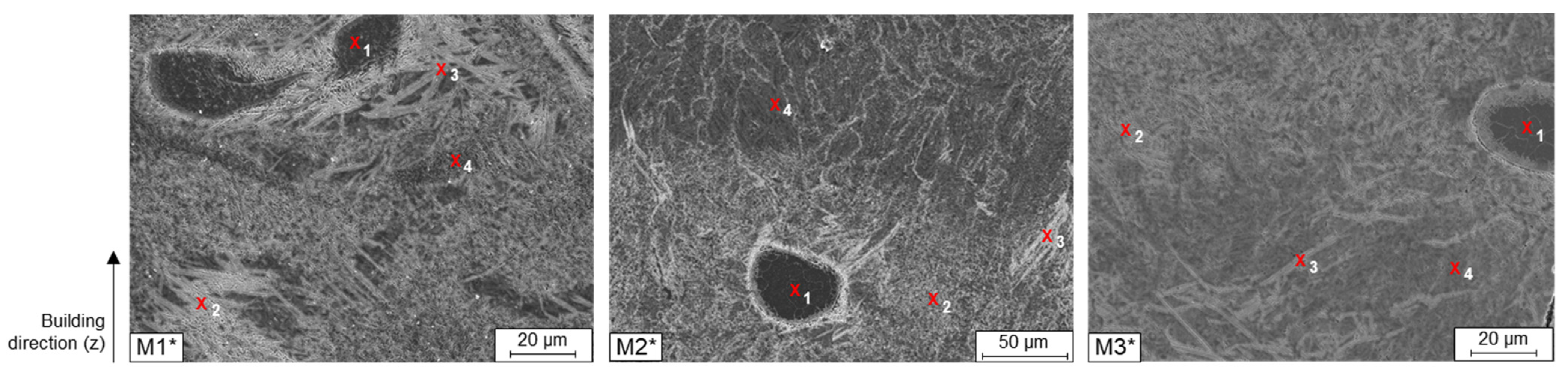 Metals 11 01107 g006