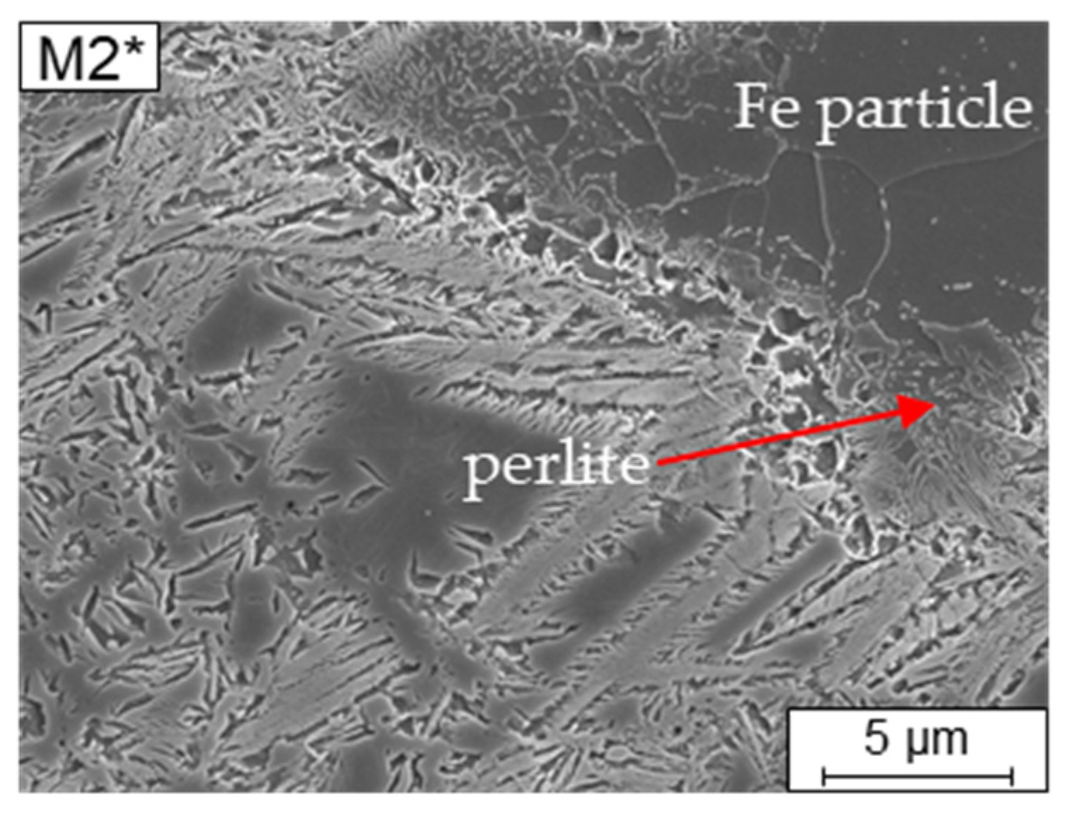 Metals 11 01107 g007