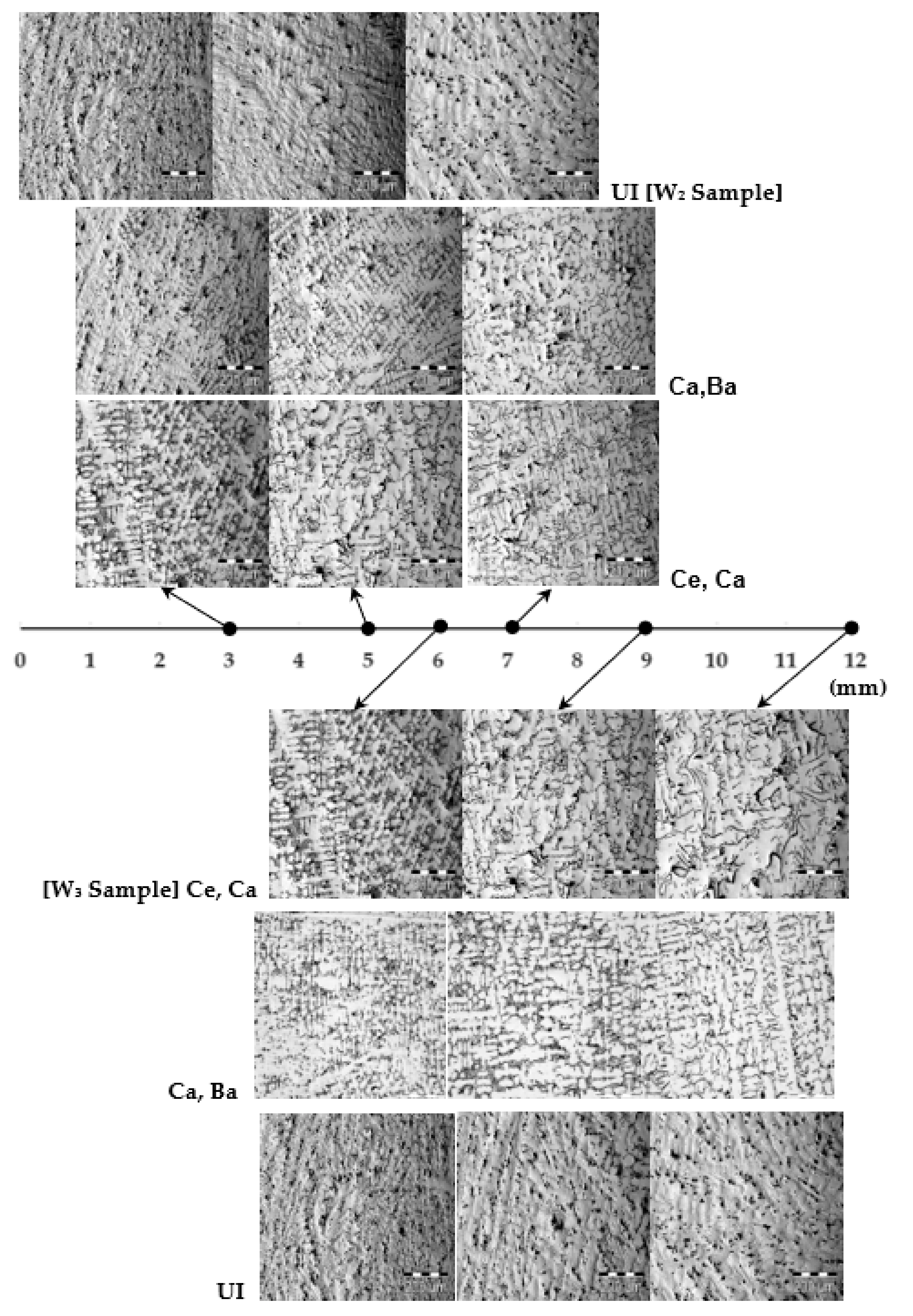 Metals 11 01122 g006