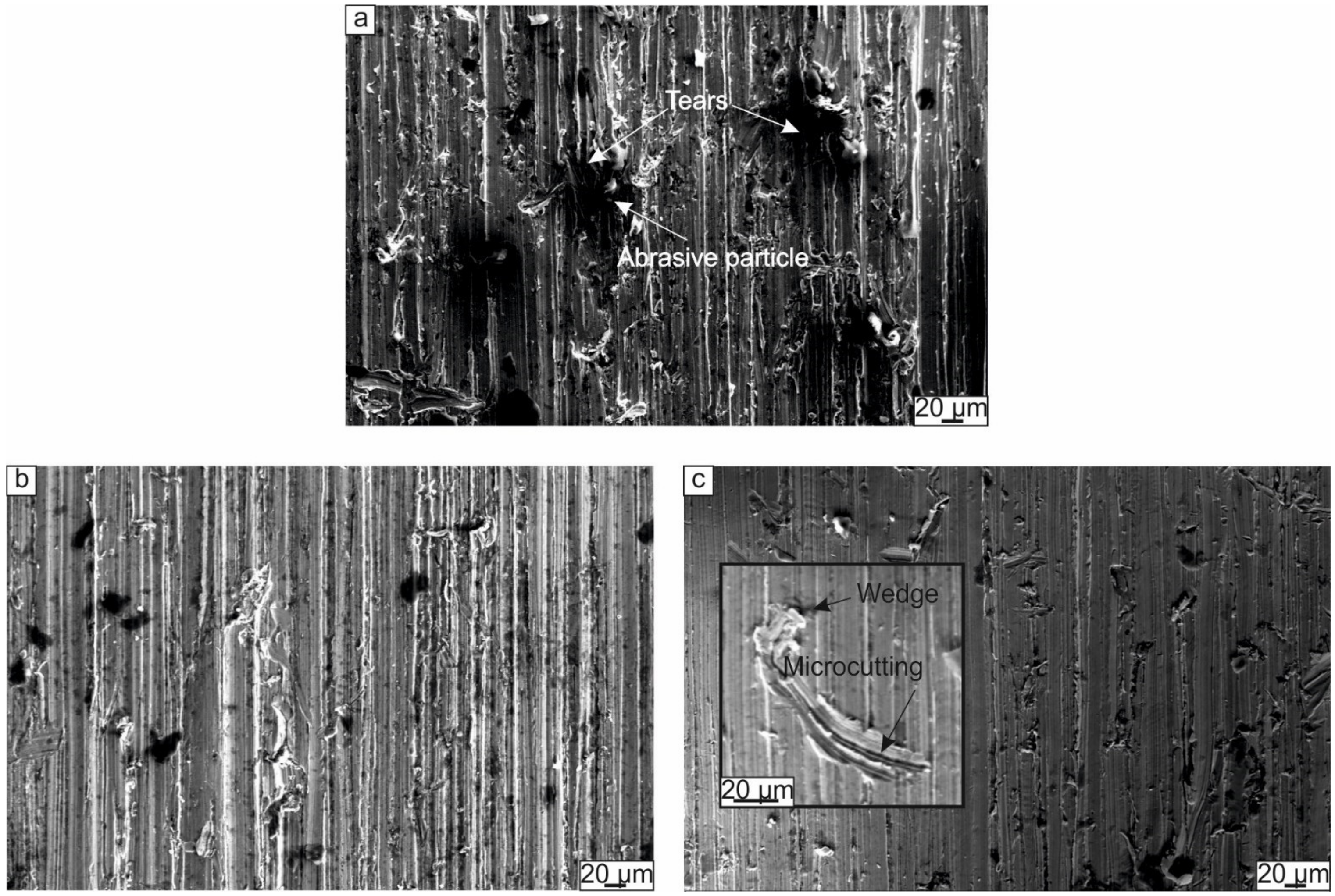 Metals 11 01139 g007