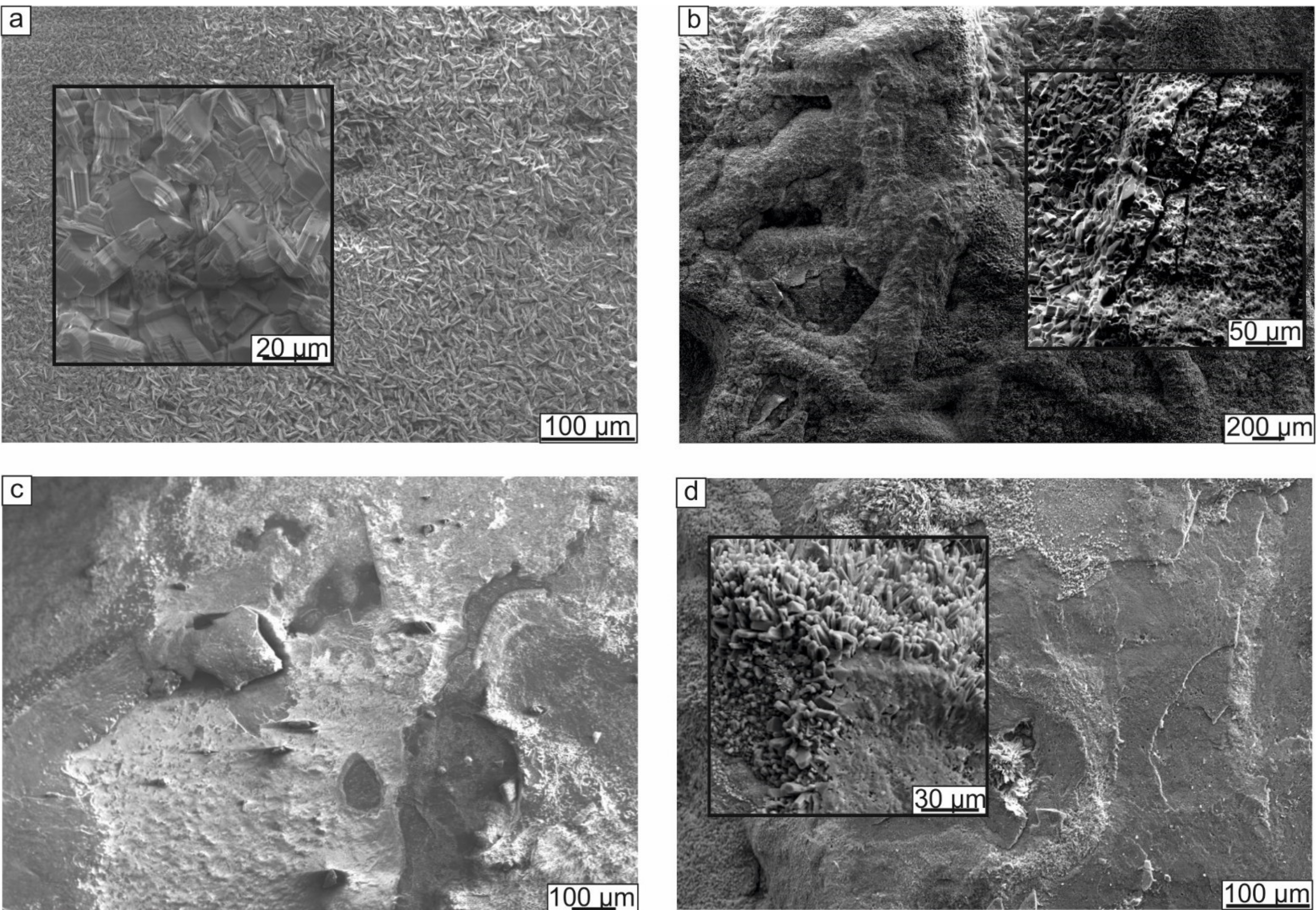 Metals 11 01139 g009