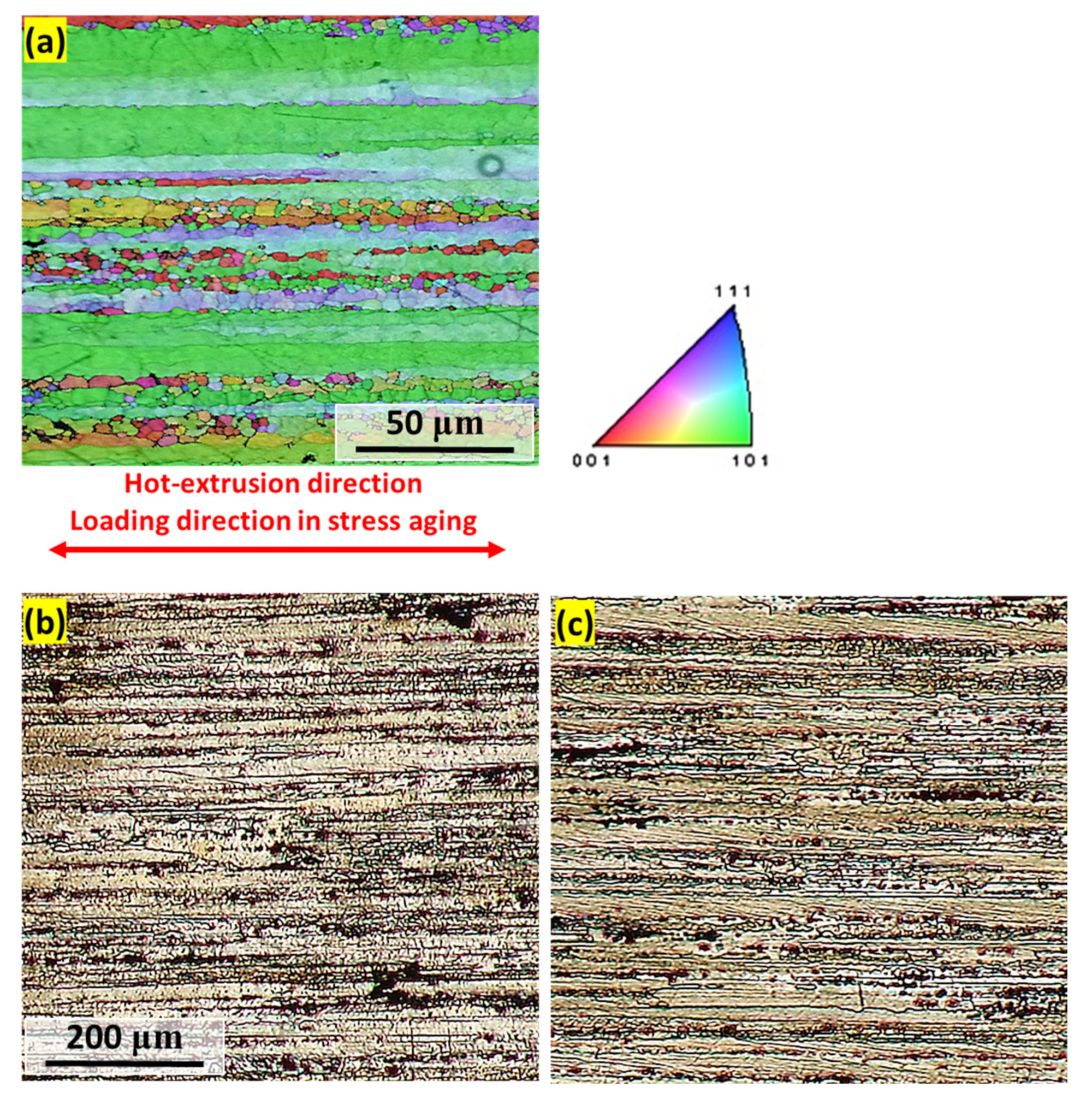 Metals 11 01142 g006