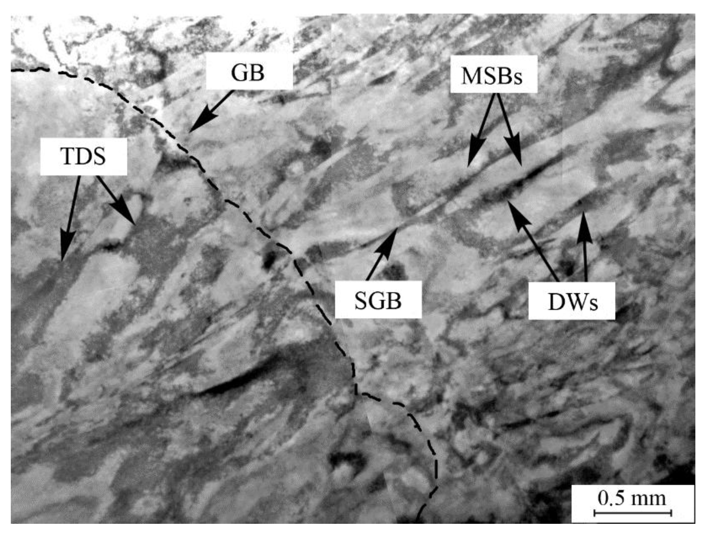 Metals 11 01145 g009