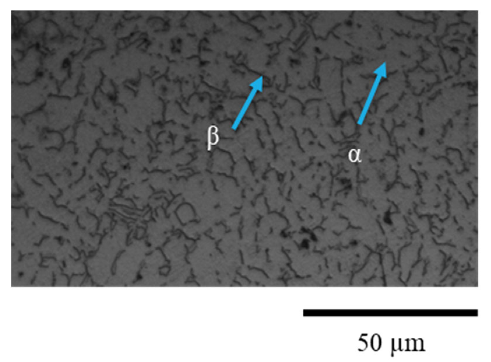 Metals 11 01154 g003