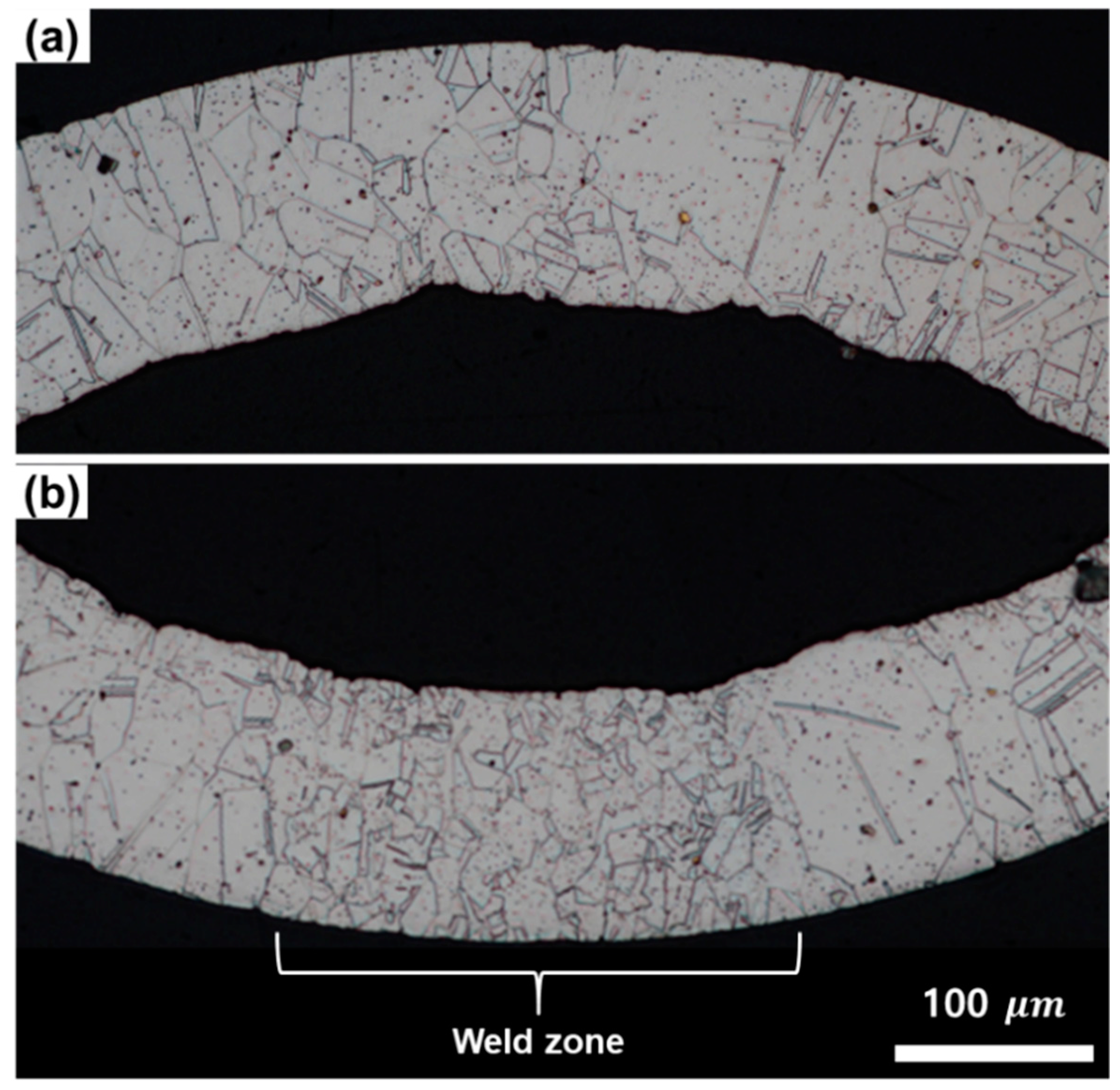 Metals 11 01162 g003