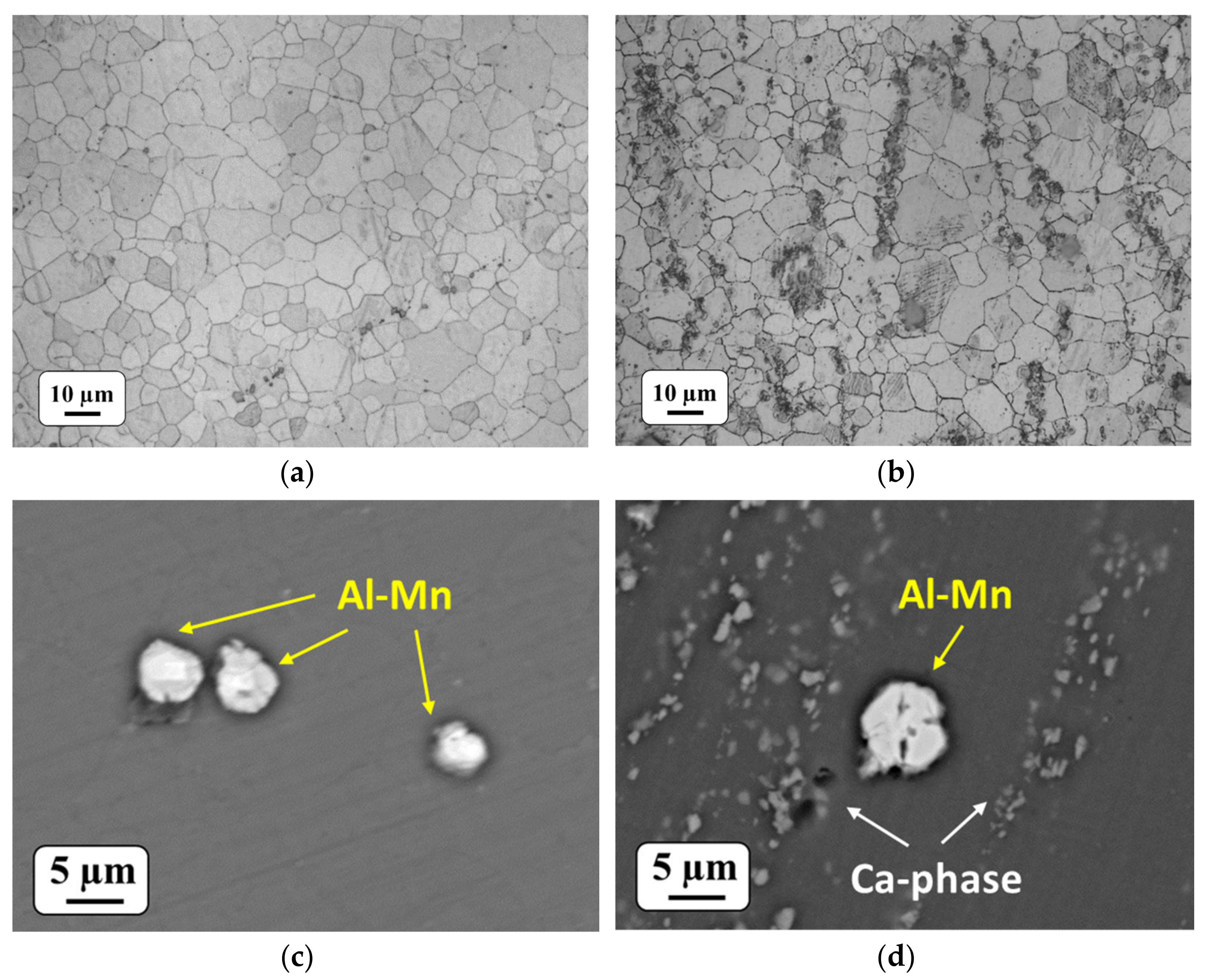 Metals 11 01172 g001