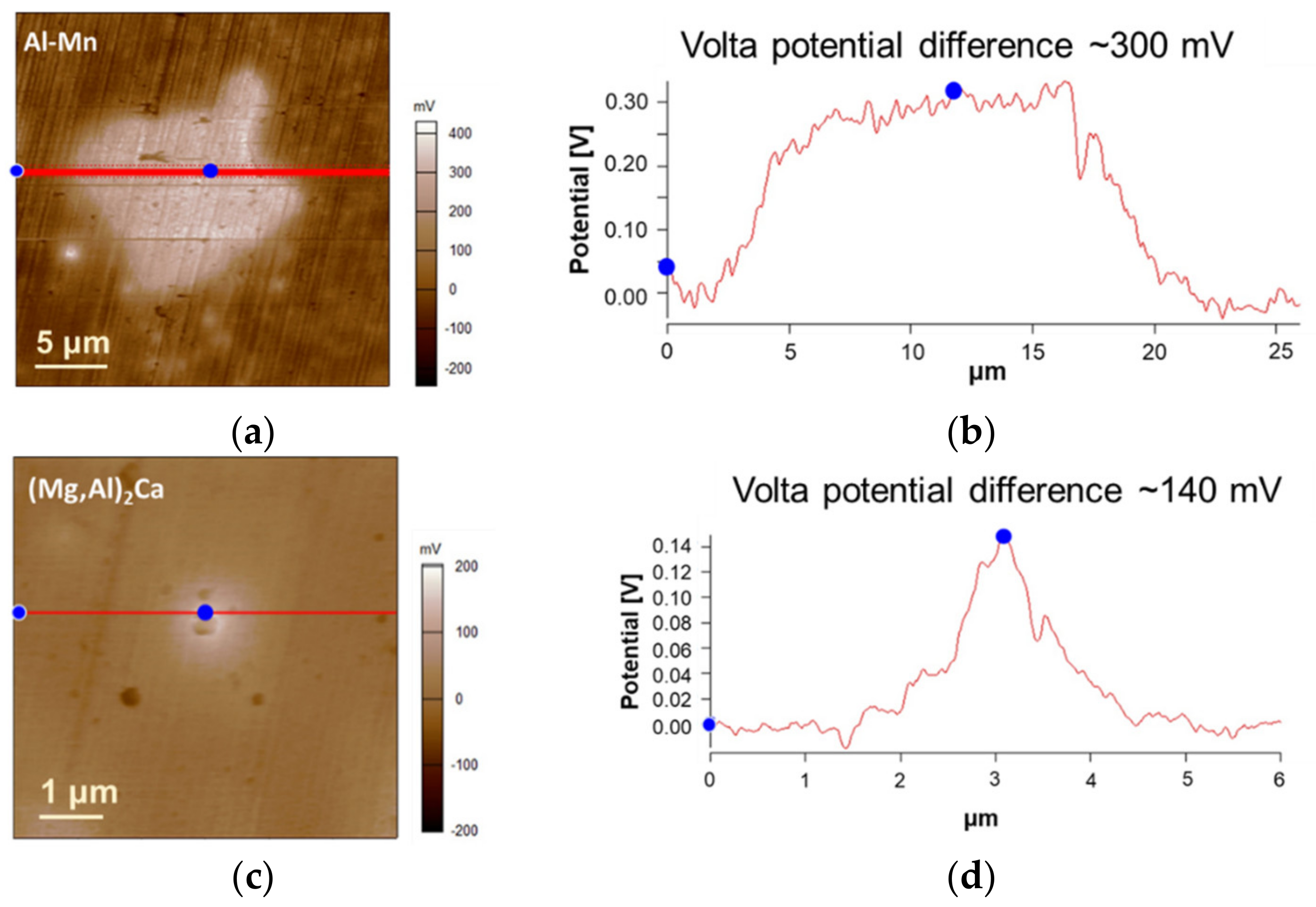 Metals 11 01172 g004