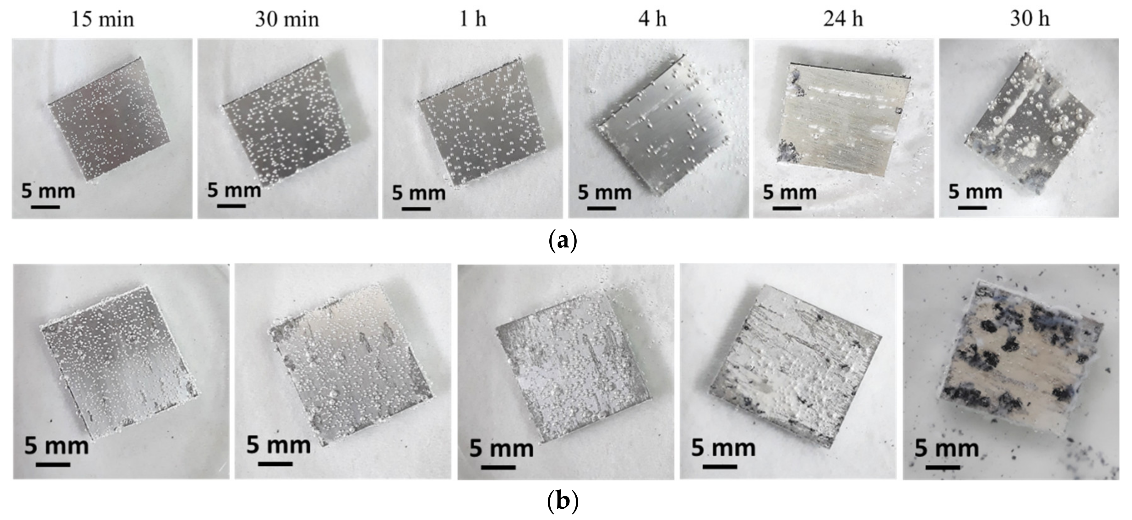 Metals 11 01172 g006