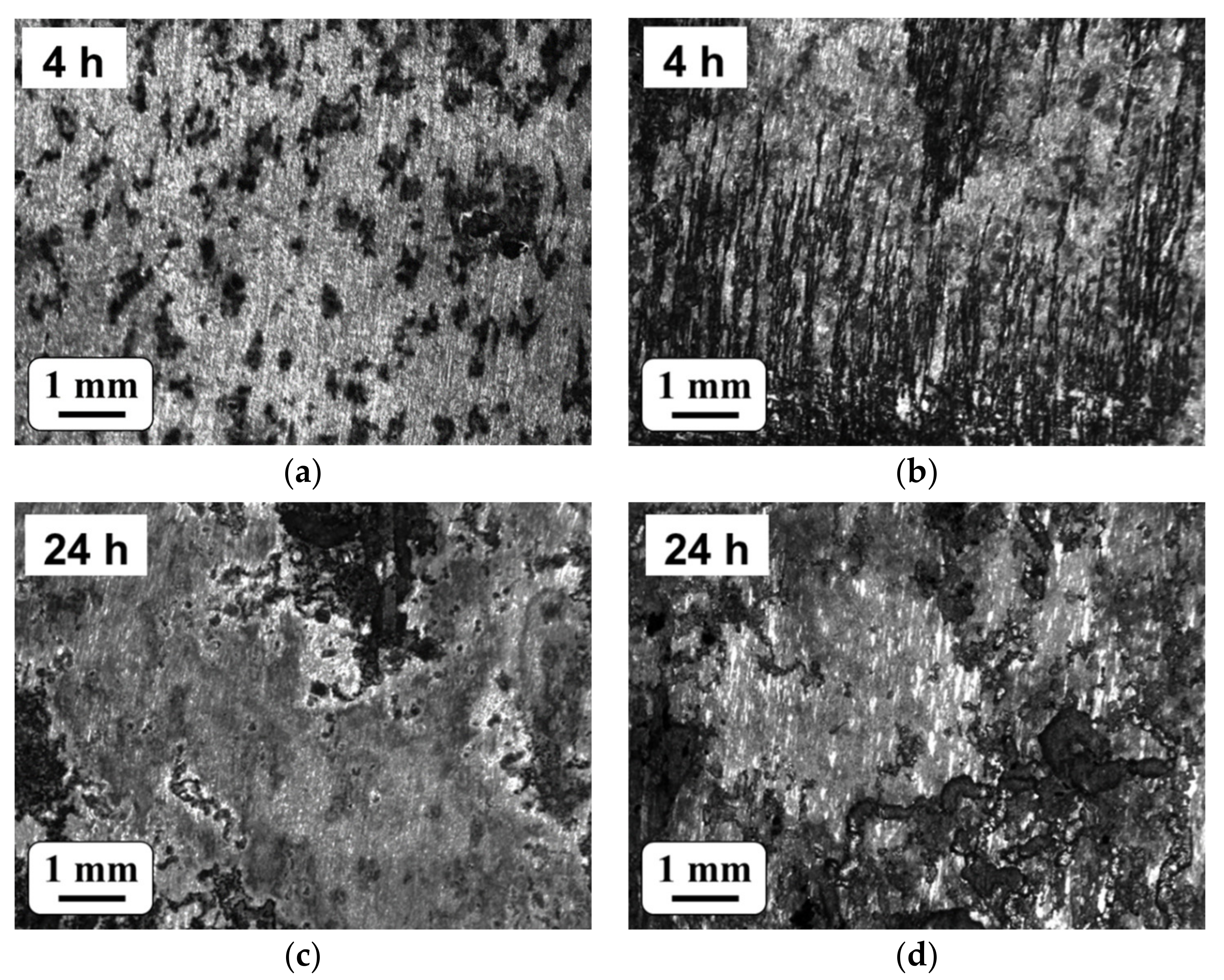 Metals 11 01172 g007