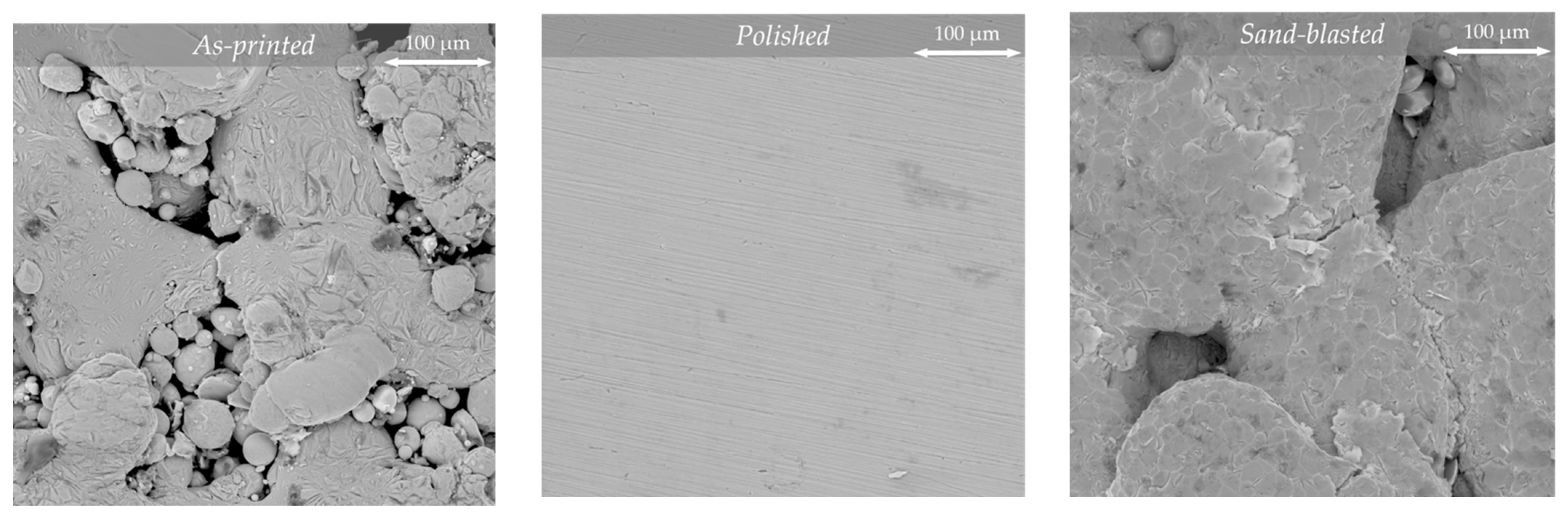 Metals 11 01175 g001