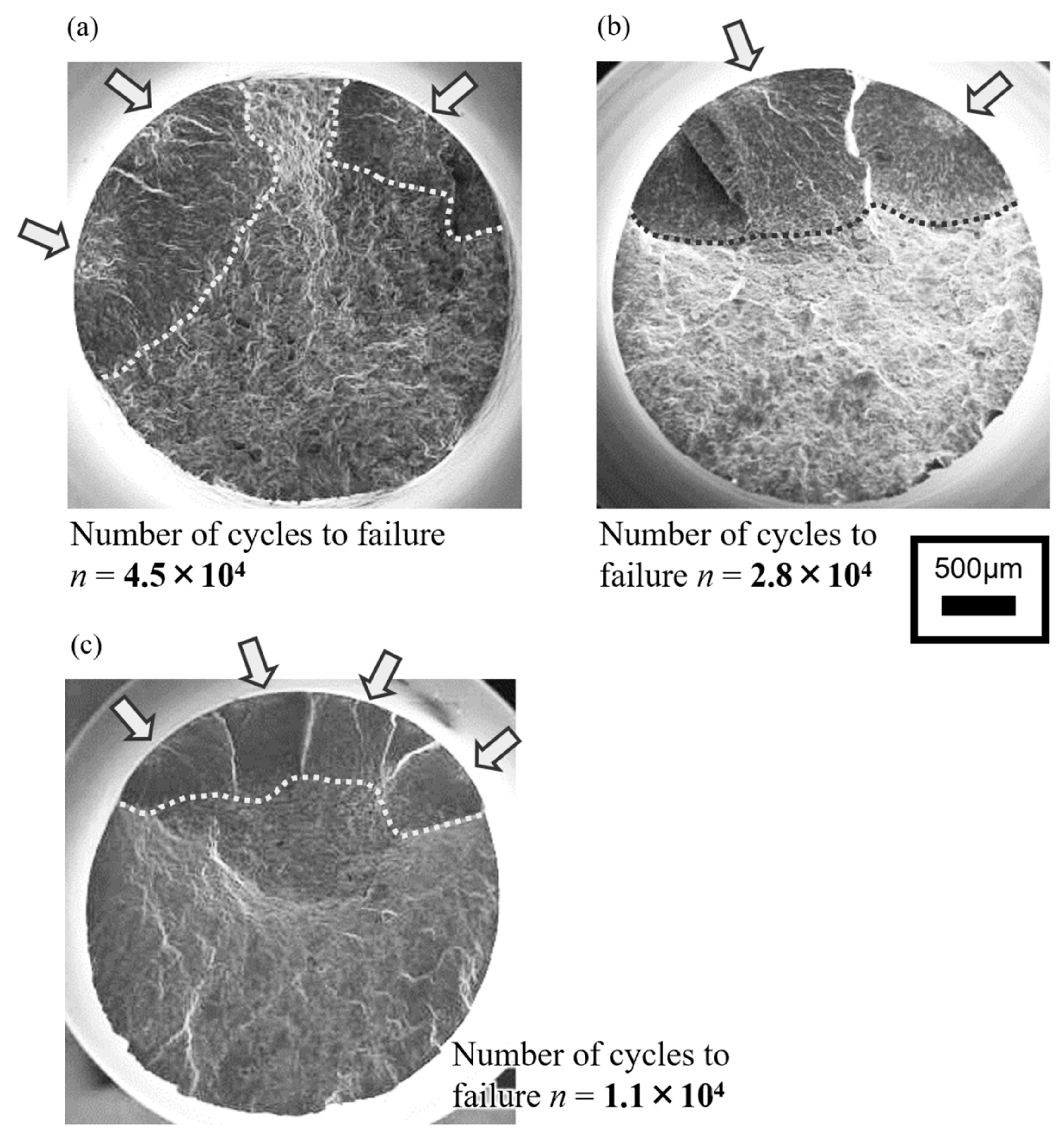 Metals 11 01191 g005