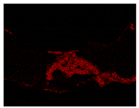 Metals 11 01195 i029