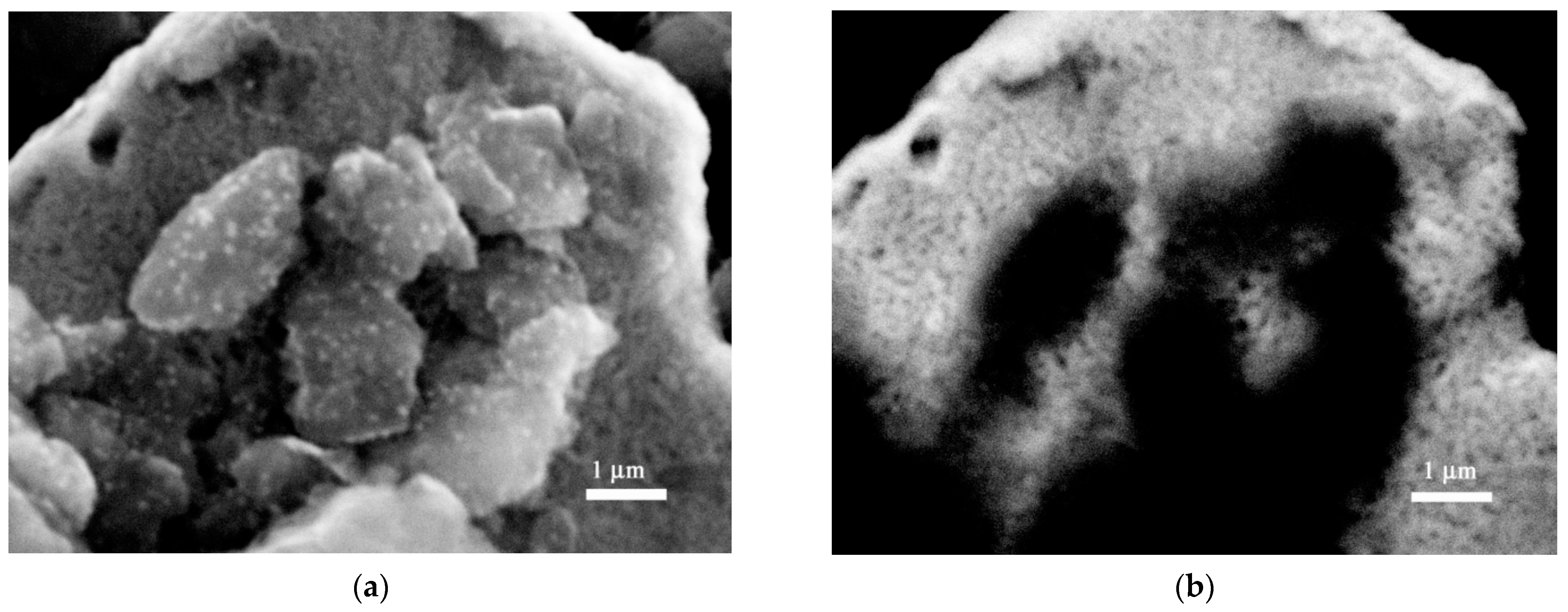 Metals 11 01203 g001