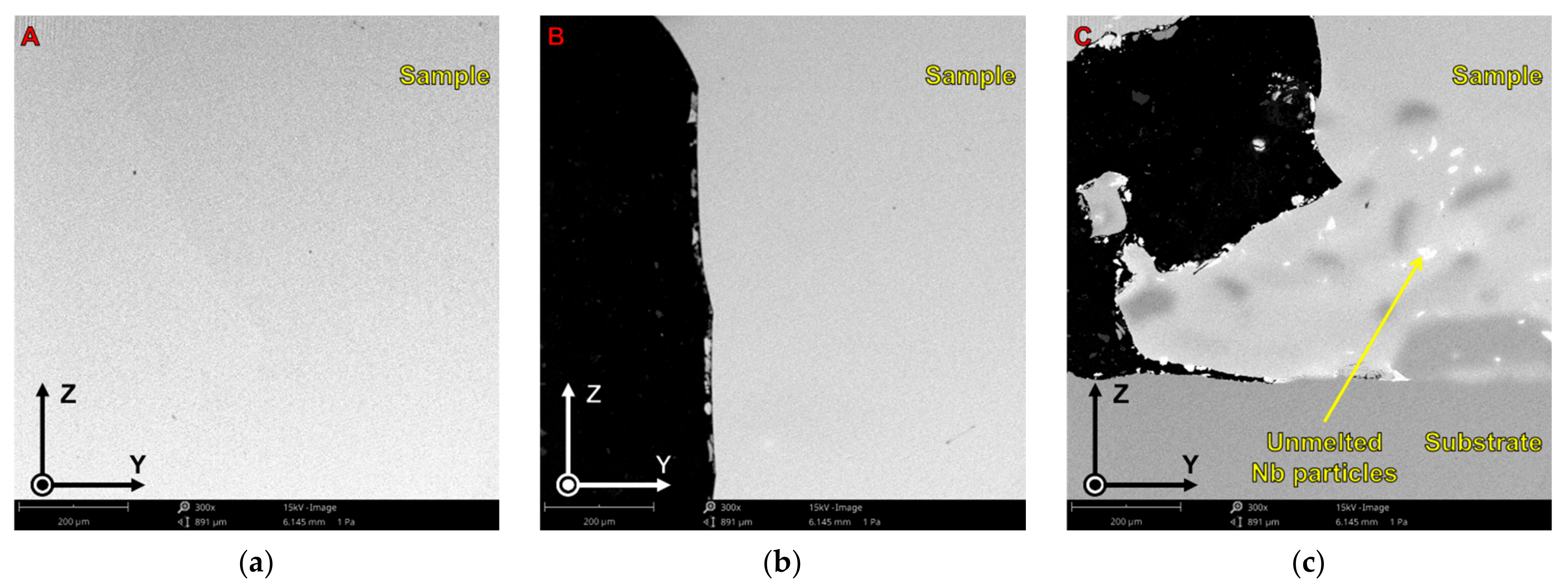 Metals 11 01205 g005
