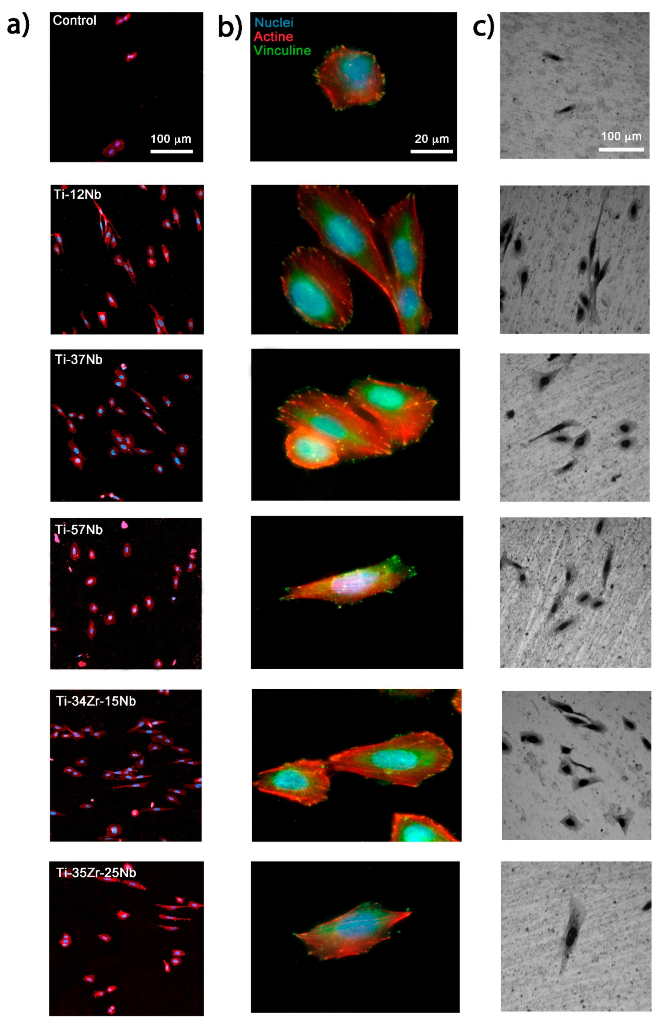 Metals 11 01205 g012