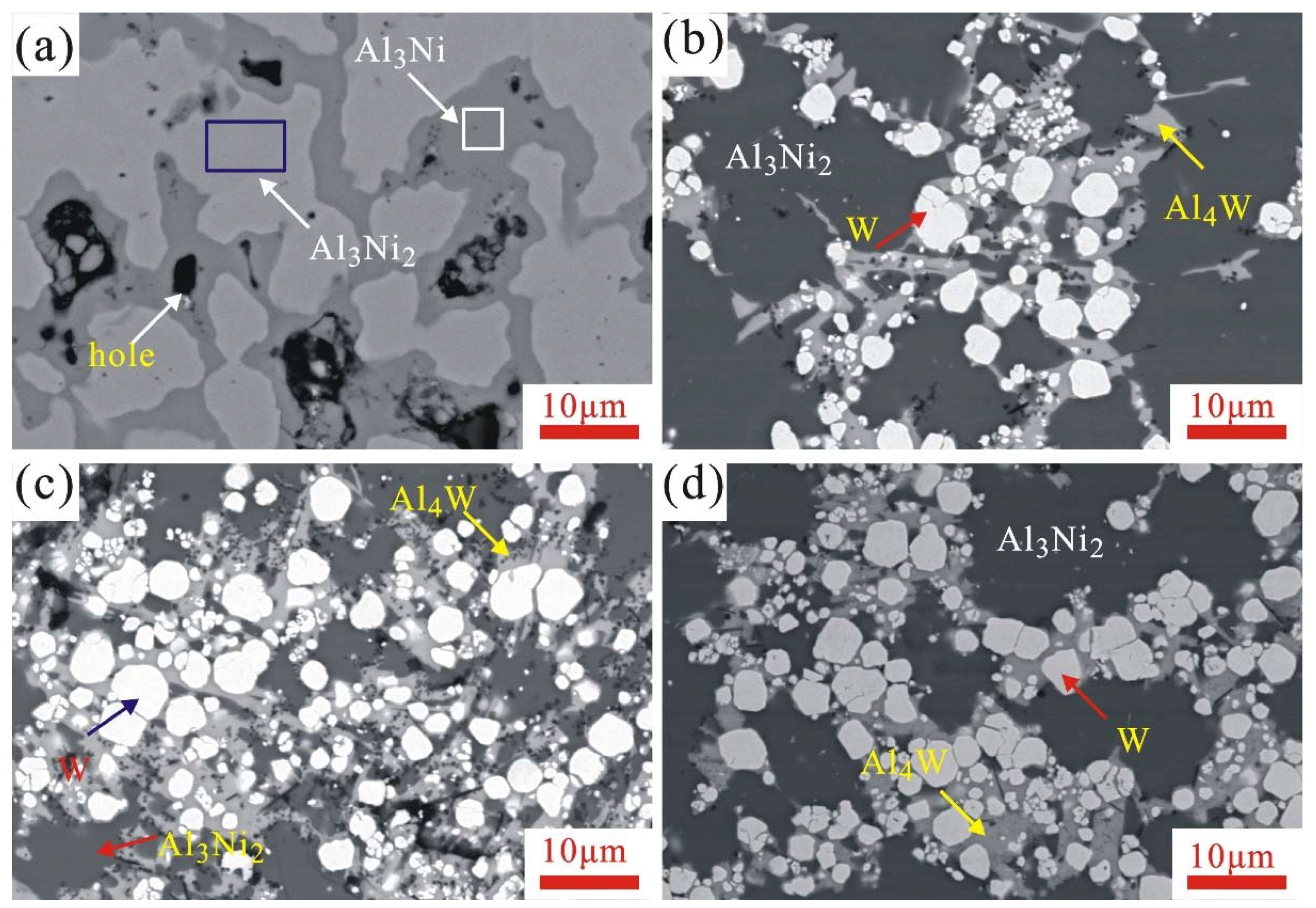 Metals 11 01217 g005