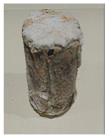 Metals 11 01218 i009 Metals 11 01218 i009