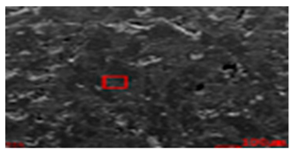 Metals 11 01218 i014 Metals 11 01218 i014