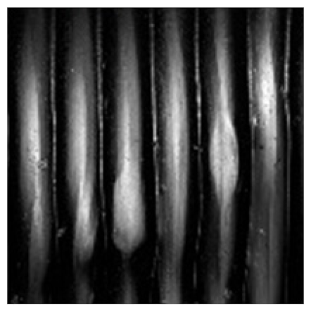 Metals 11 01256 i006