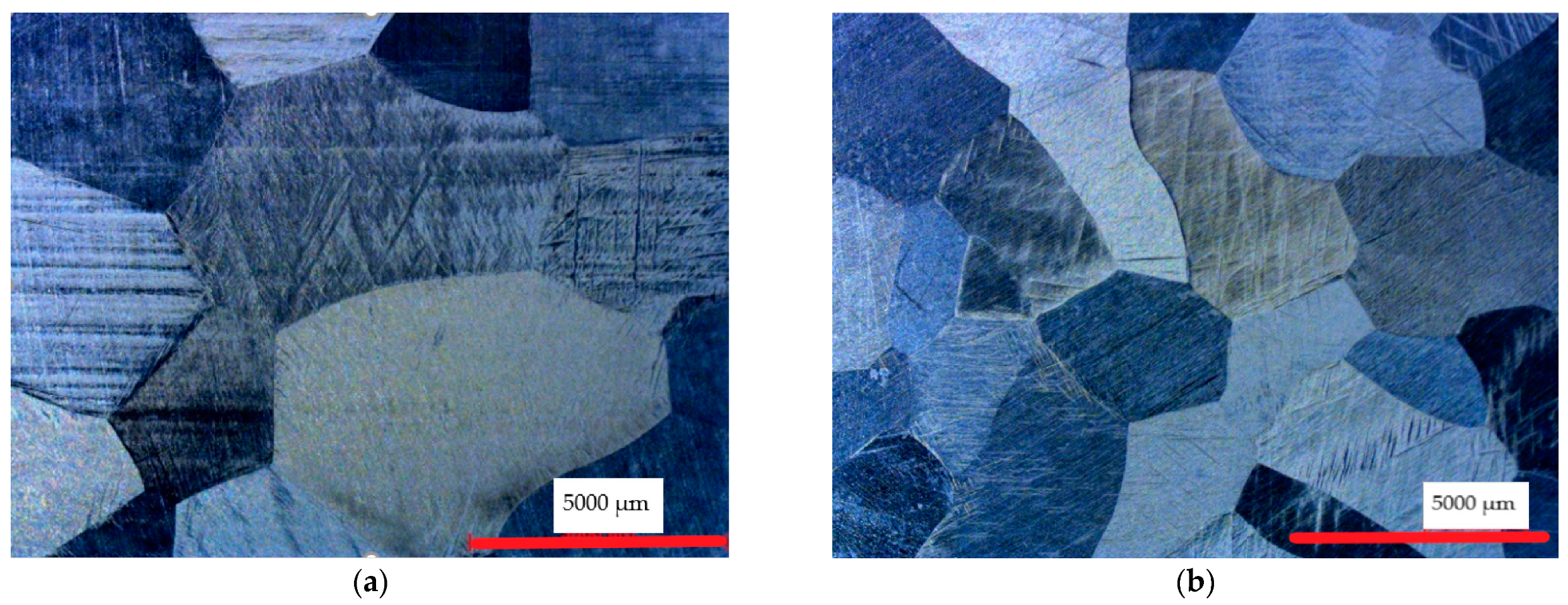 Metals 11 01264 g002