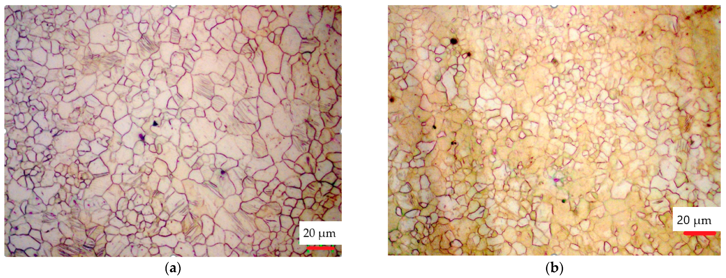 Metals 11 01264 g003