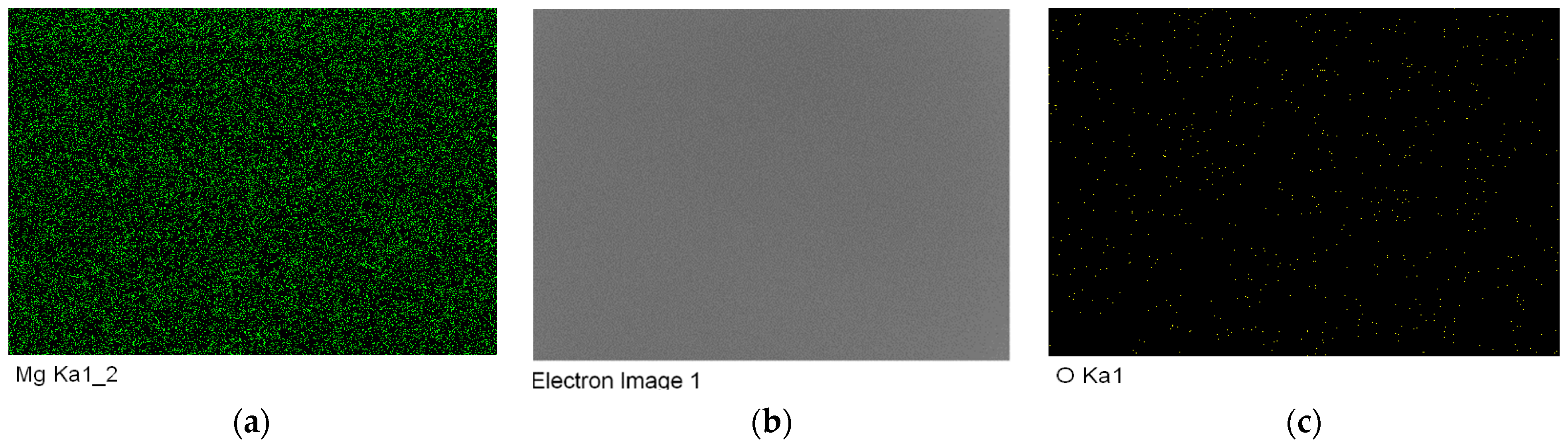 Metals 11 01264 g012