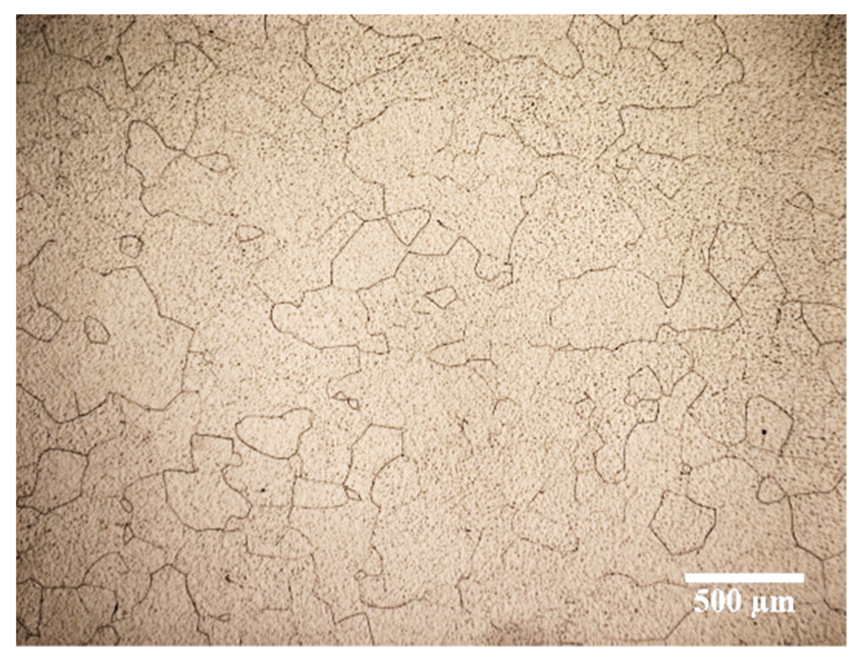 Metals 11 01278 g001