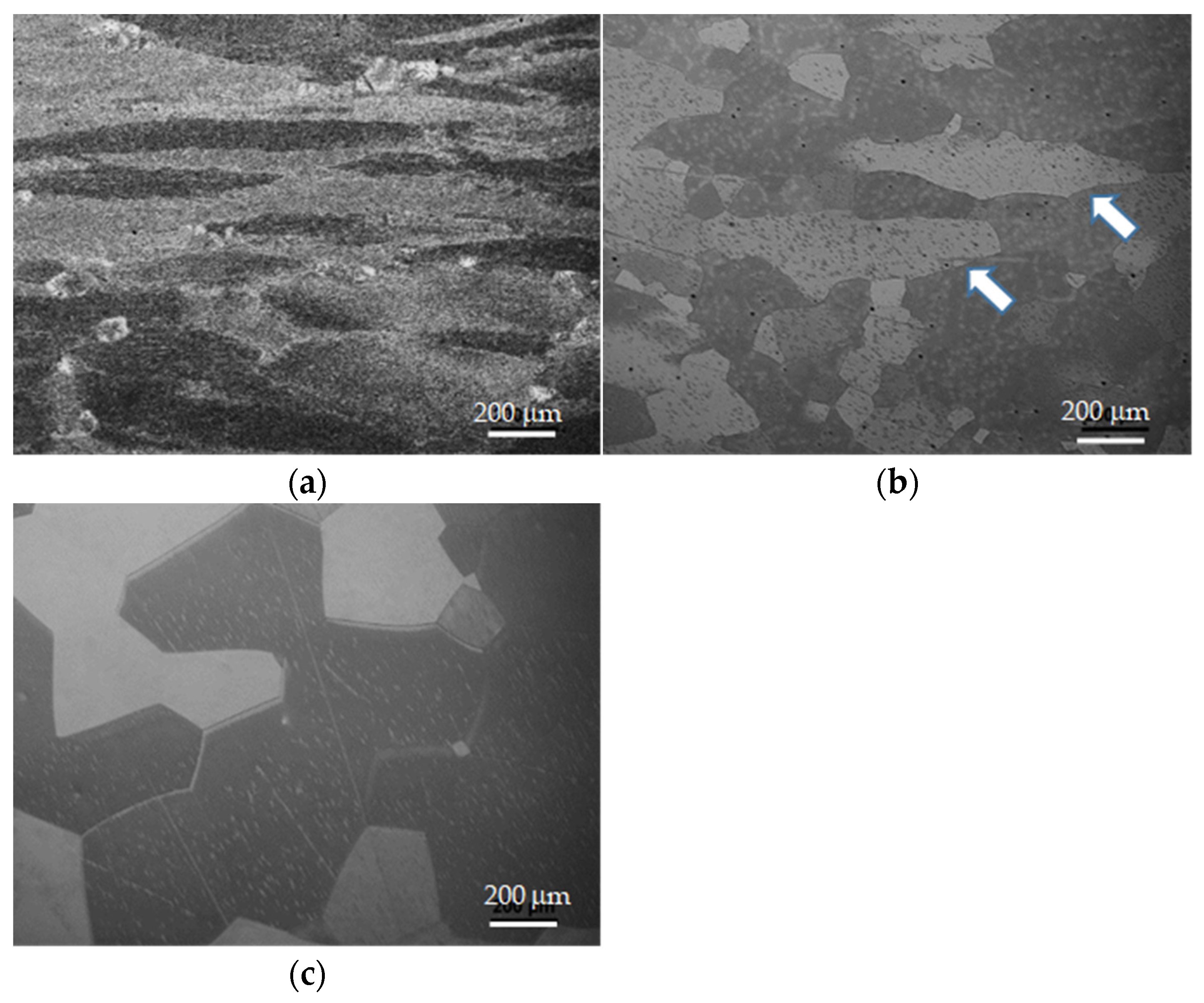 Metals 11 01278 g007